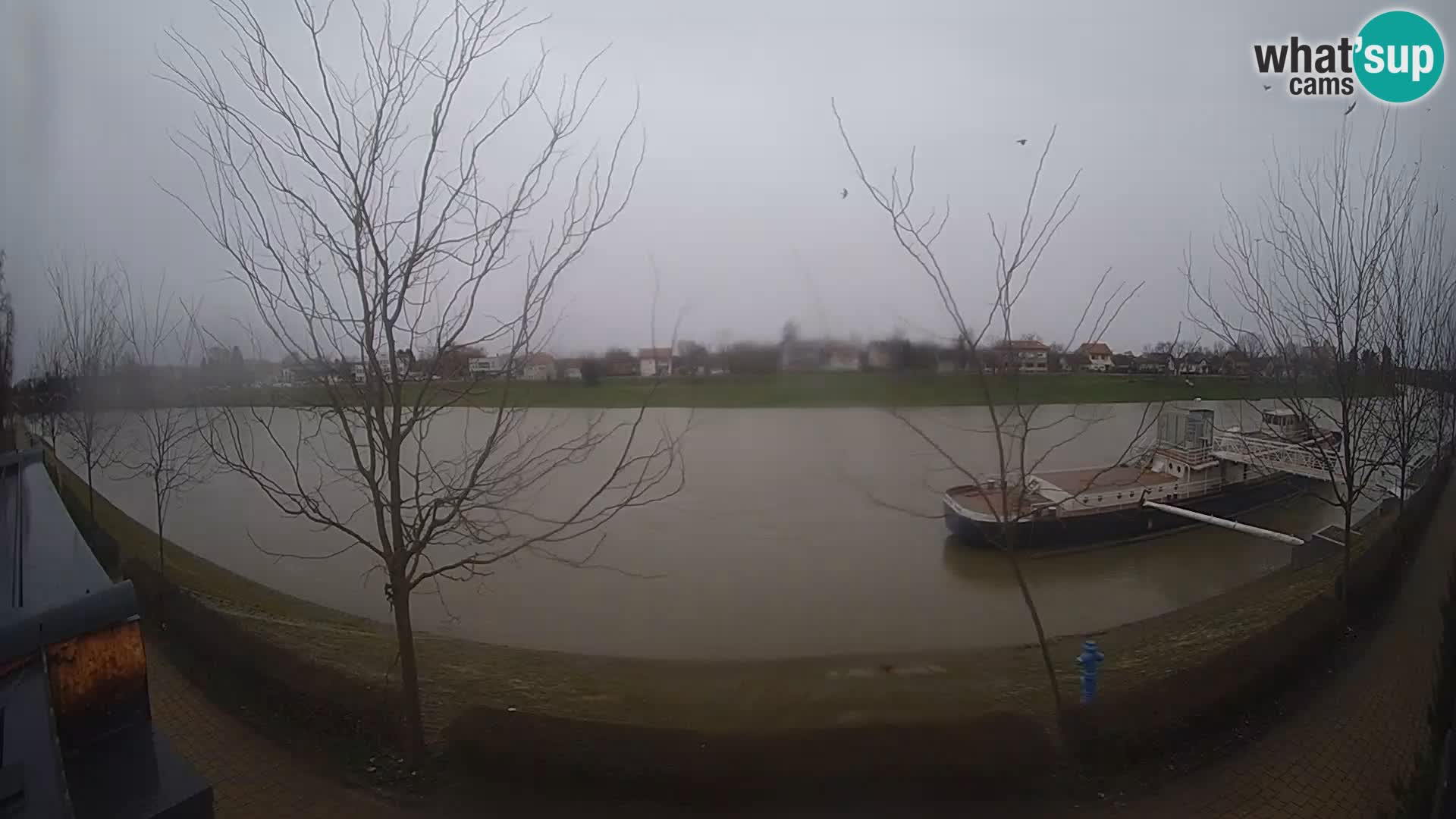 Sisak webcam en direct – vue sur la rivière Kolpa – Croatie