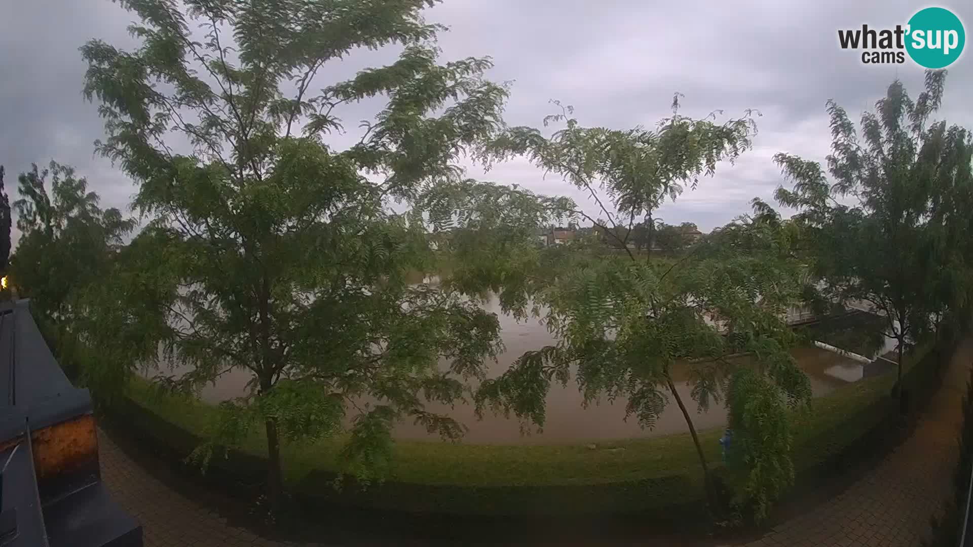 Sisak webcam en vivo Kolpa river view – Croacia