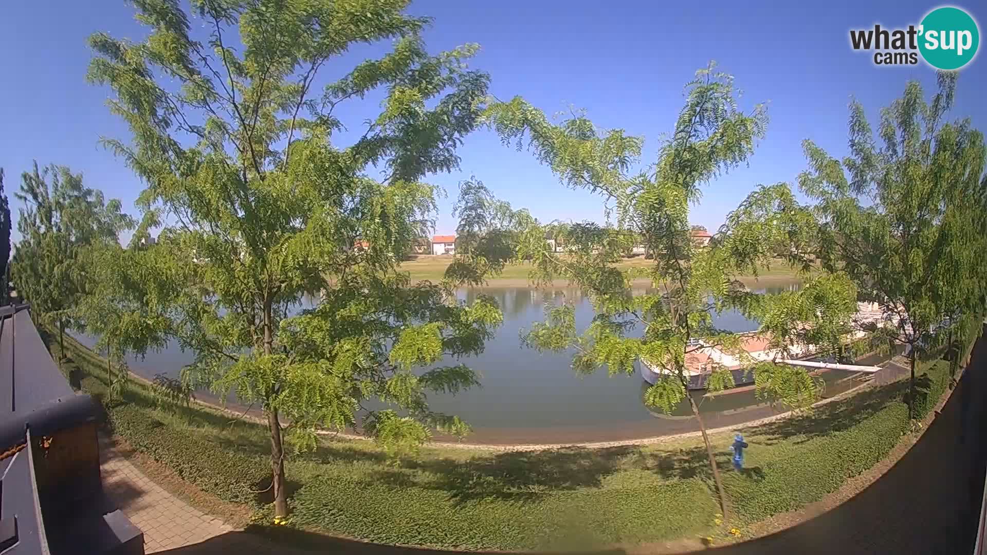 Sisak webcam en vivo Kolpa river view – Croacia