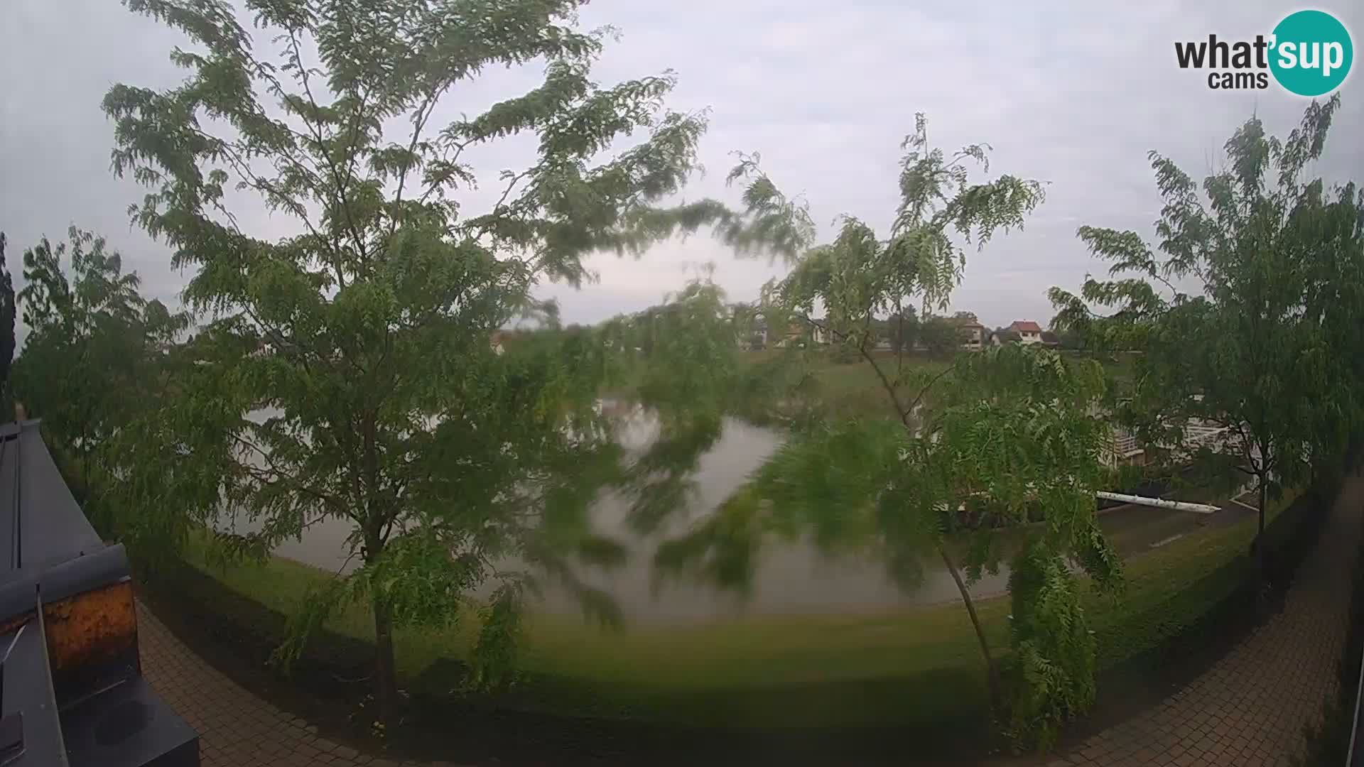 Sisak Live-Webcam Blick auf den Fluss Kolpa – Kroatien