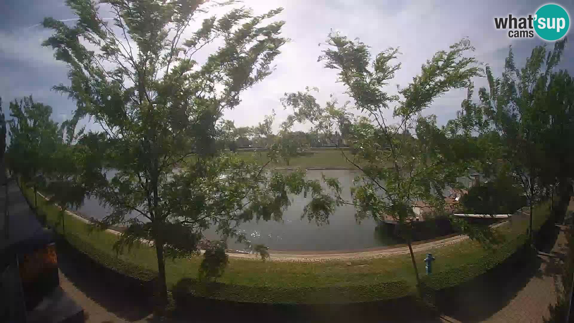 Sisak Live-Webcam Blick auf den Fluss Kolpa – Kroatien