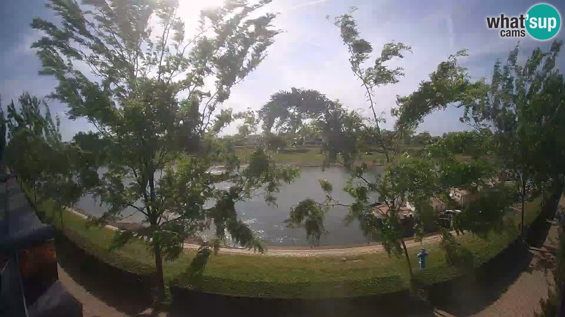 Sisak live webcam Kolpa river view – Croatia