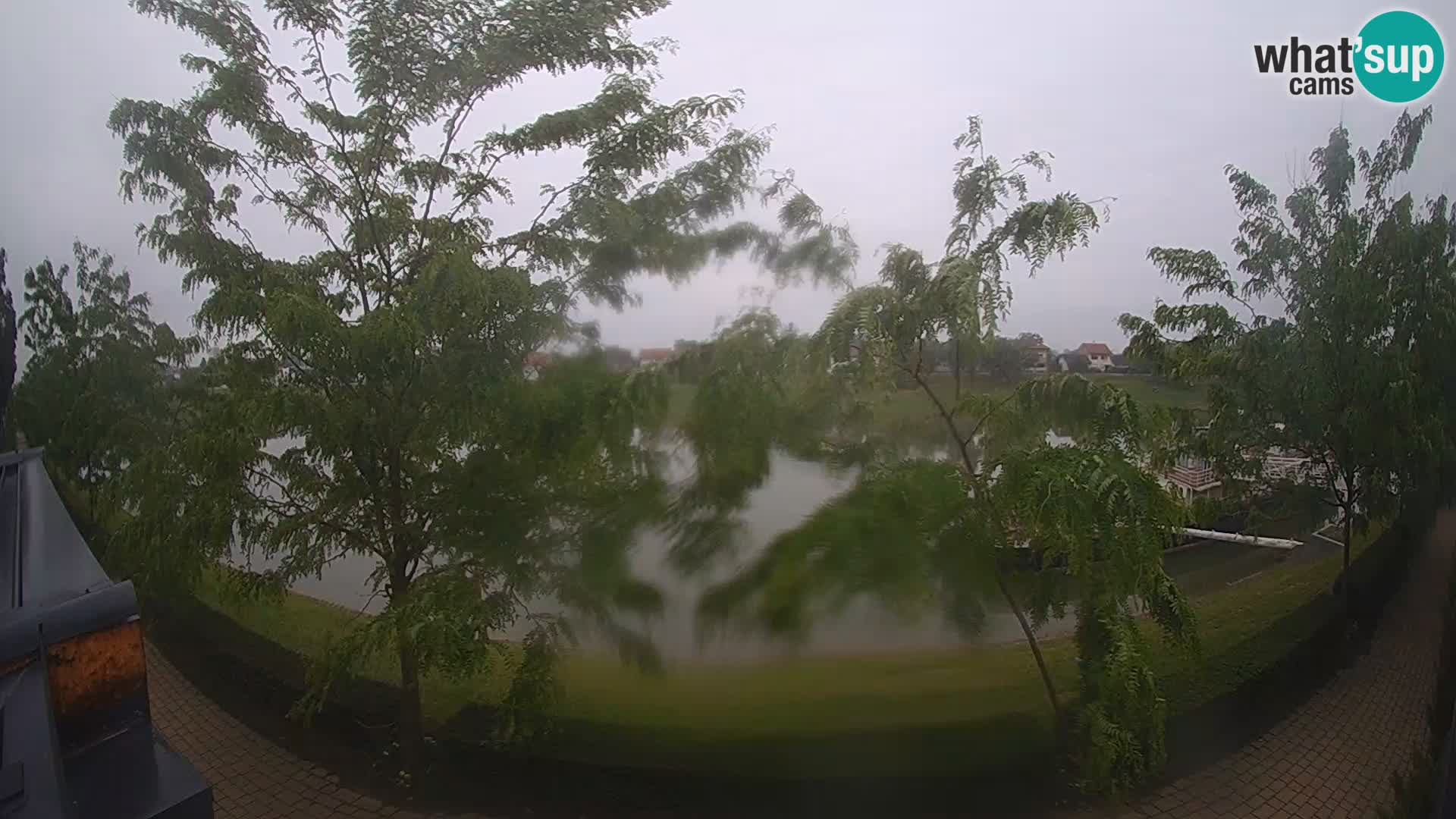 Sisak live webcam pogled na reku Kolpu