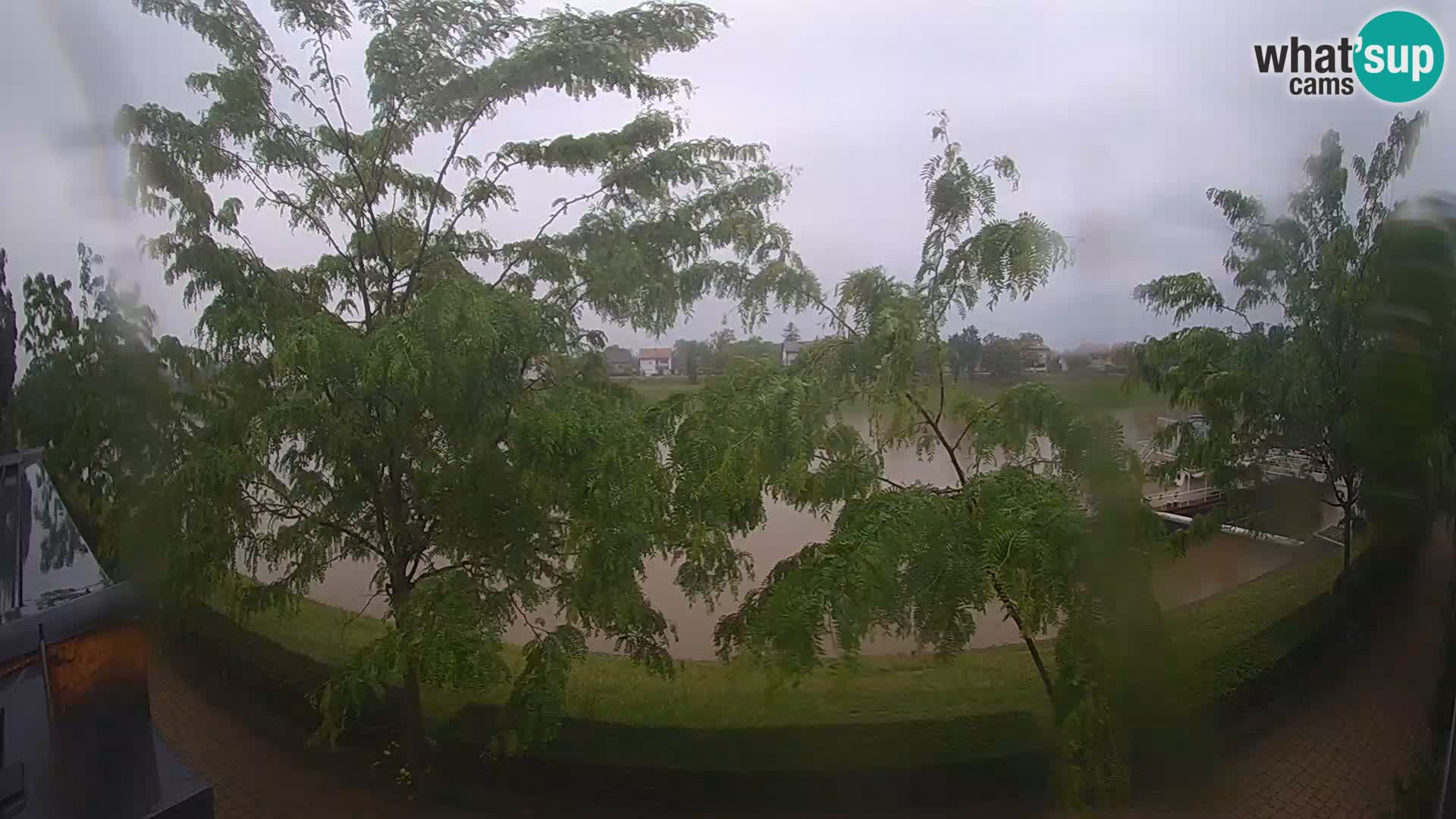 Sisak webcam en direct – vue sur la rivière Kolpa – Croatie