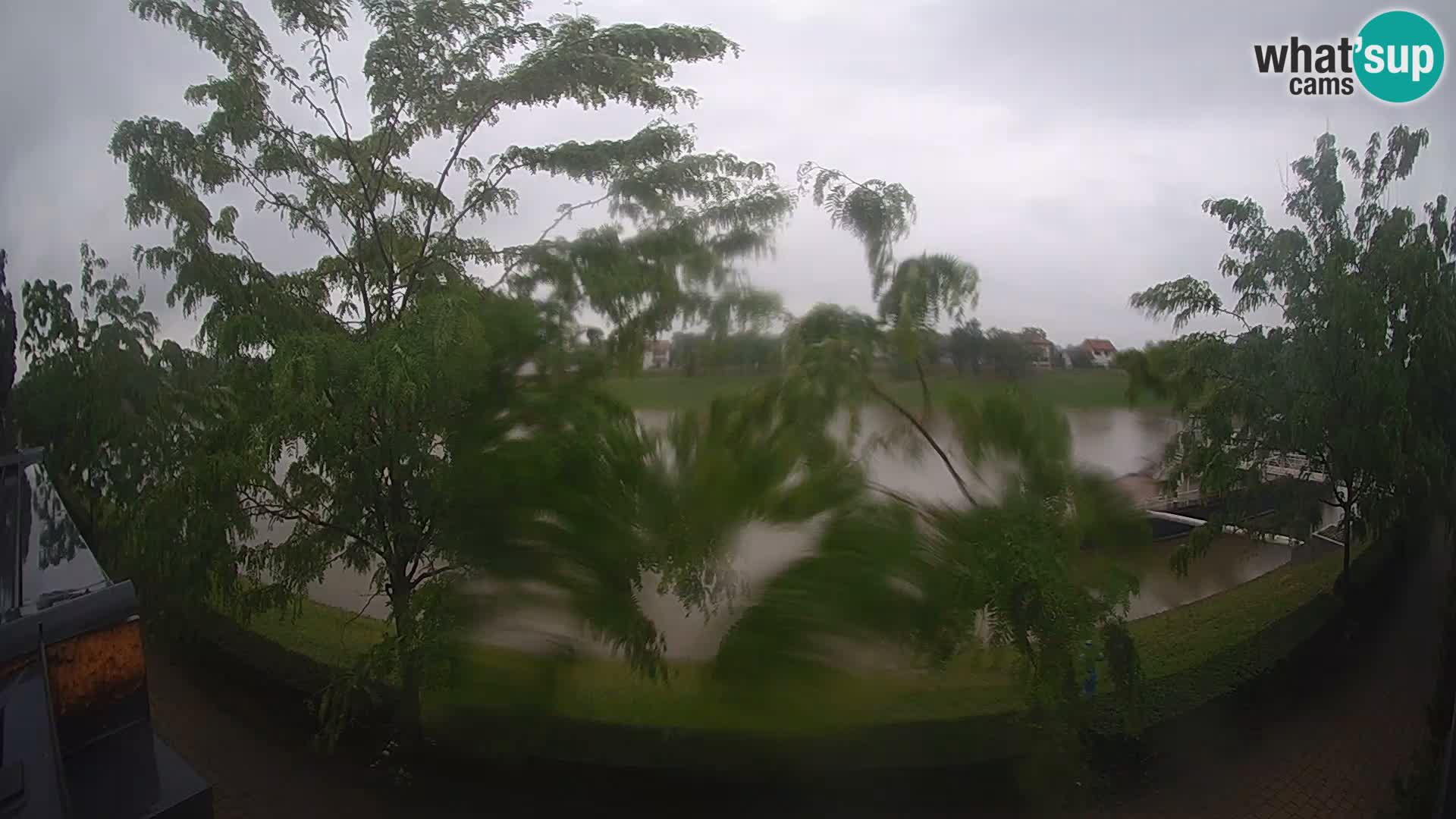 Sisak live webcam pogled na reku Kolpu