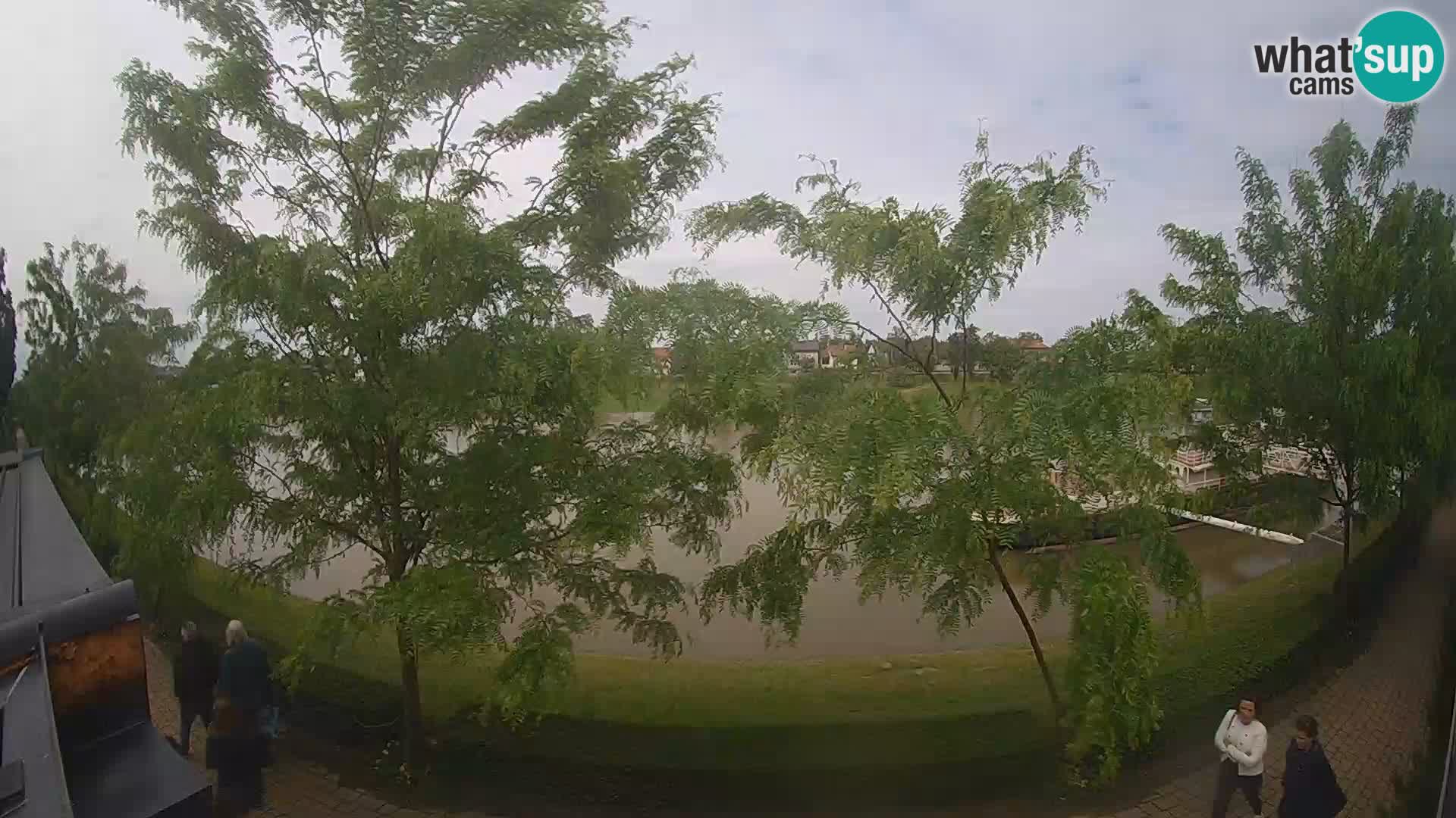 Sisak webcam en direct – vue sur la rivière Kolpa – Croatie