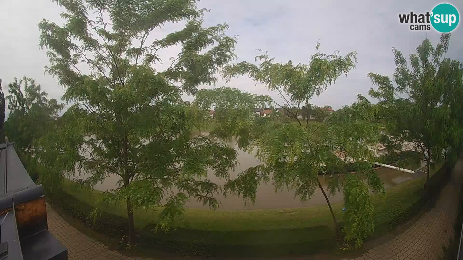 Sisak live webcam – vista sul fiume Kolpa – Croazia
