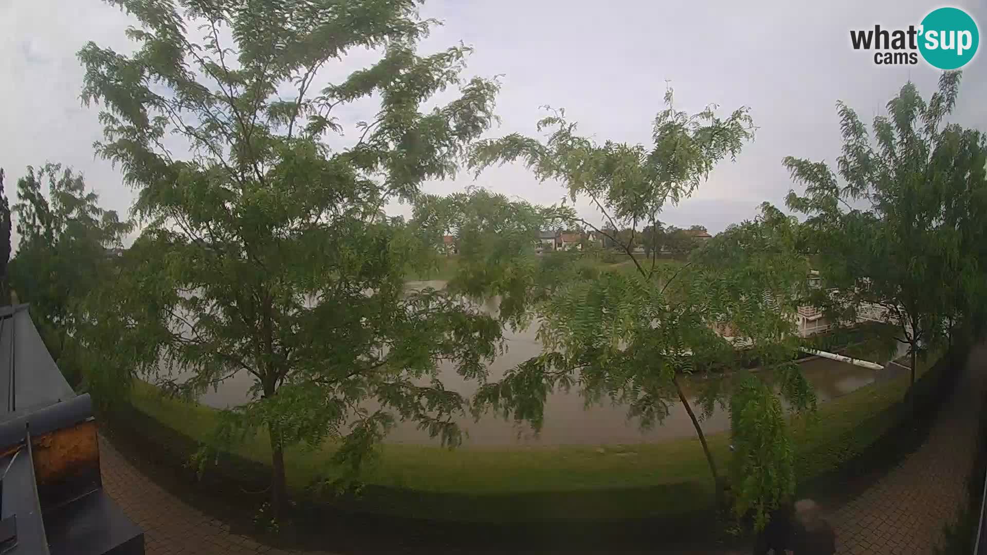 Sisak webcam en vivo Kolpa river view – Croacia
