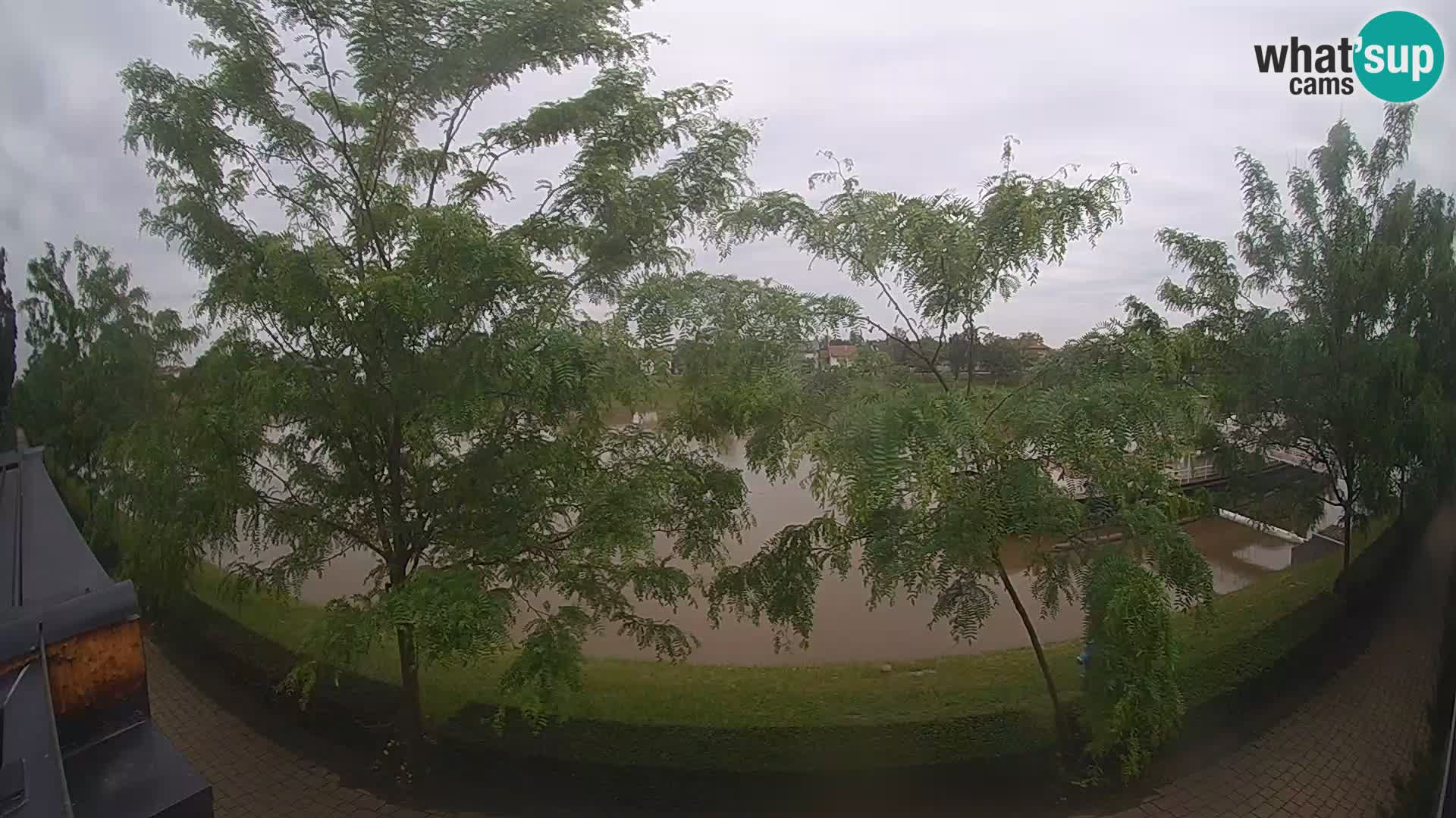 Sisak live webcam pogled na reku Kolpu