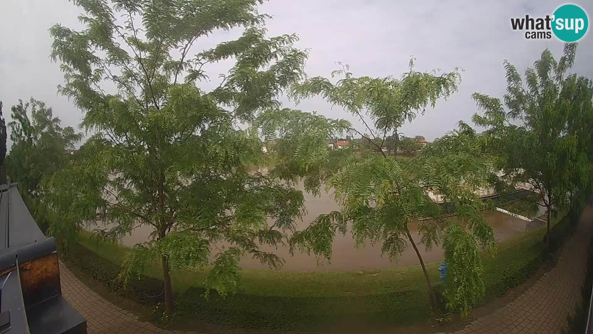Sisak live webcam – vista sul fiume Kolpa – Croazia