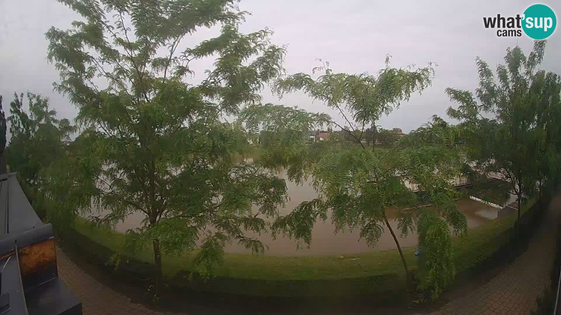 Sisak live webcam Kolpa river view – Croatia