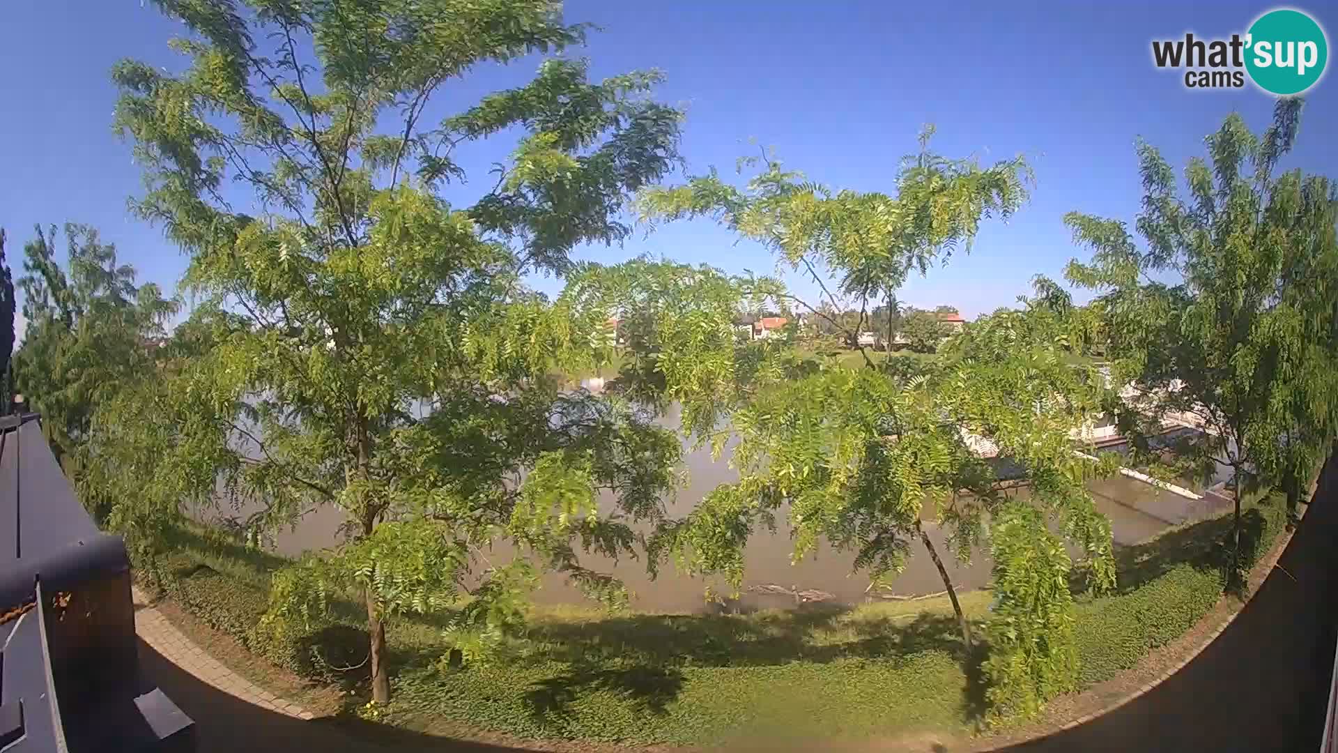 Sisak webcam en vivo Kolpa river view – Croacia