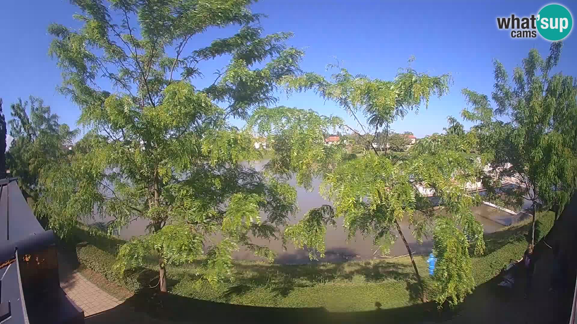 Sisak live webcam pogled na reku Kolpu