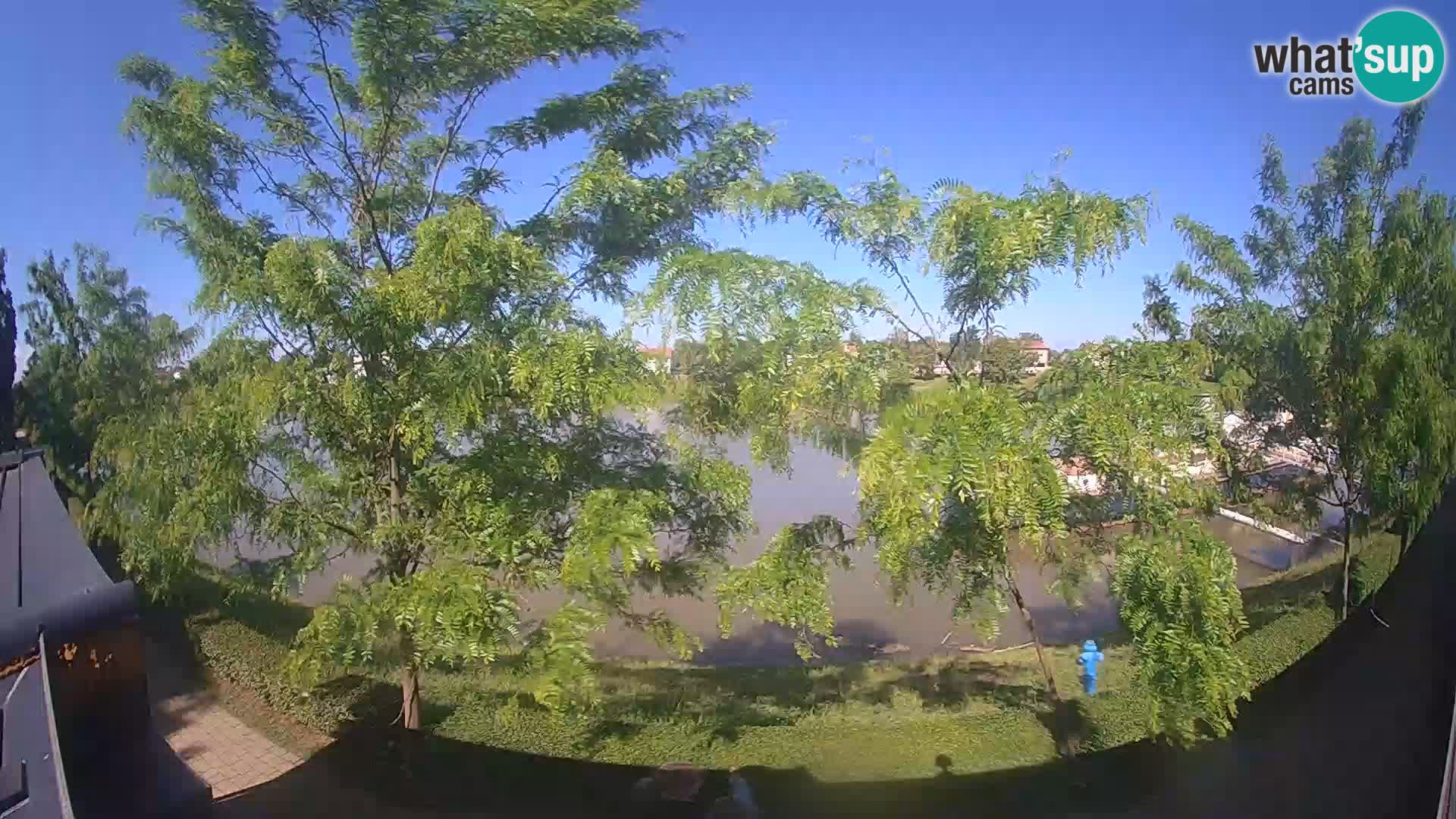 Sisak live webcam pogled na reku Kolpu