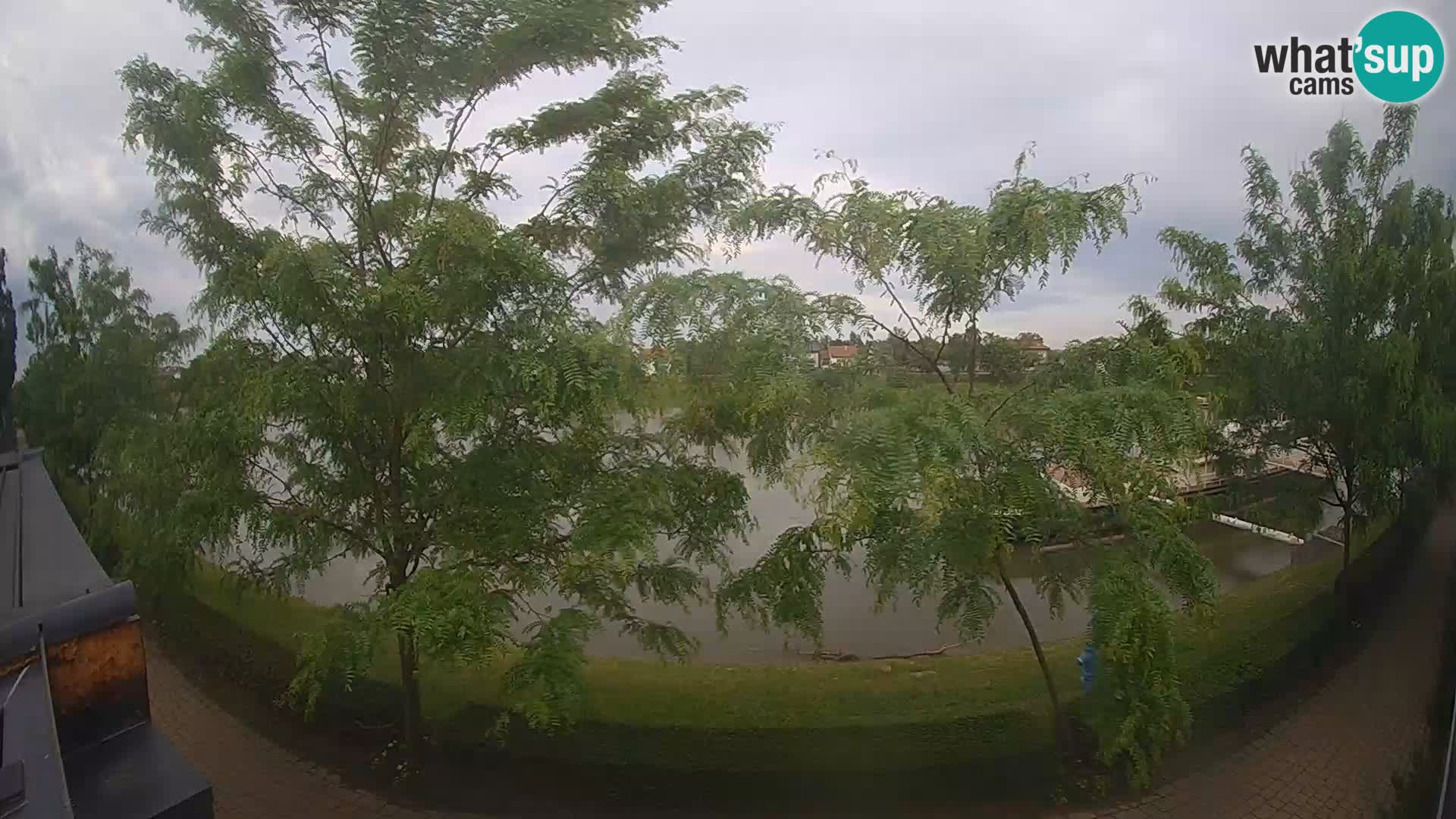 Sisak webcam en vivo Kolpa river view – Croacia