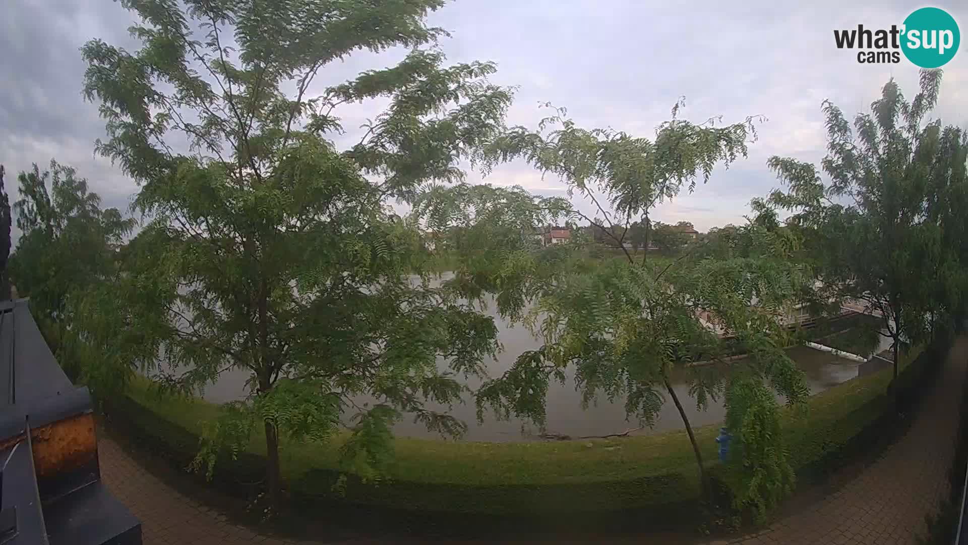 Sisak Live-Webcam Blick auf den Fluss Kolpa – Kroatien
