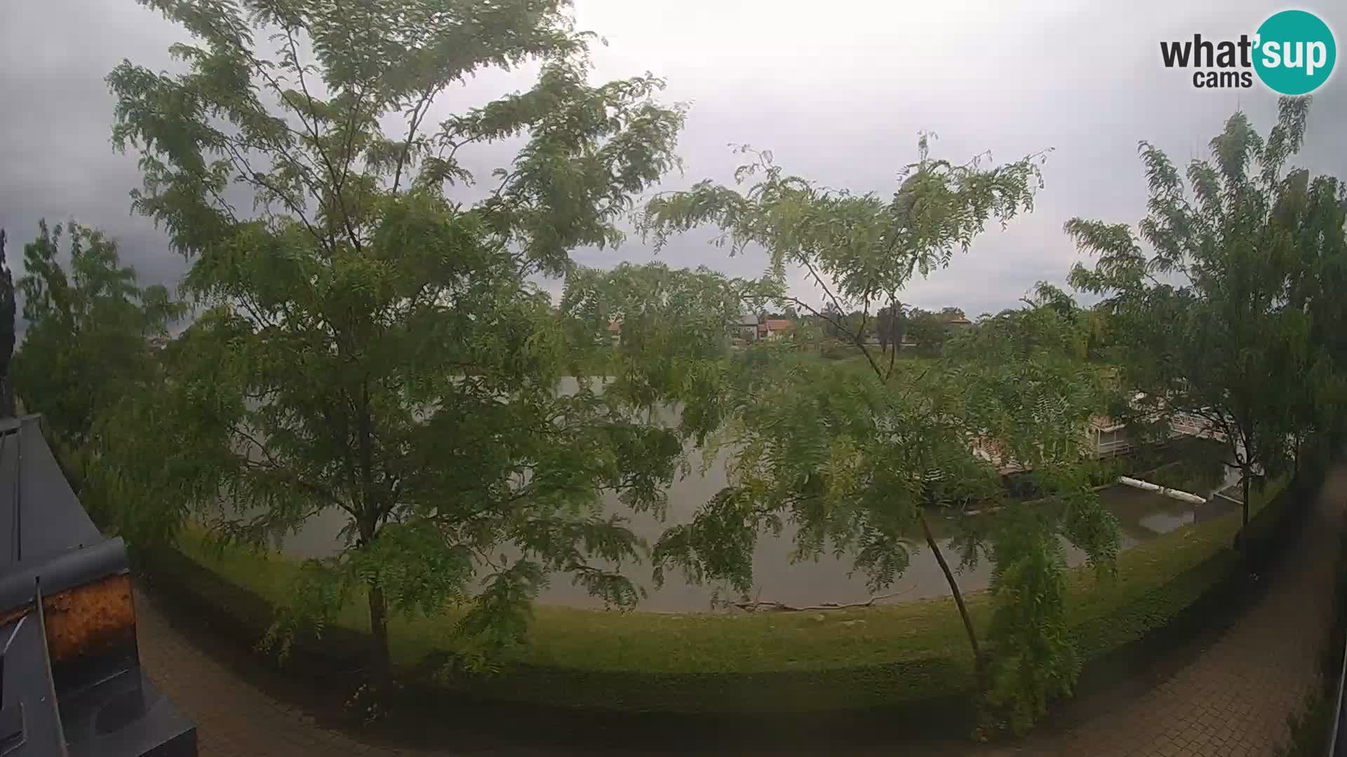 Sisak live webcam Kolpa river view – Croatia