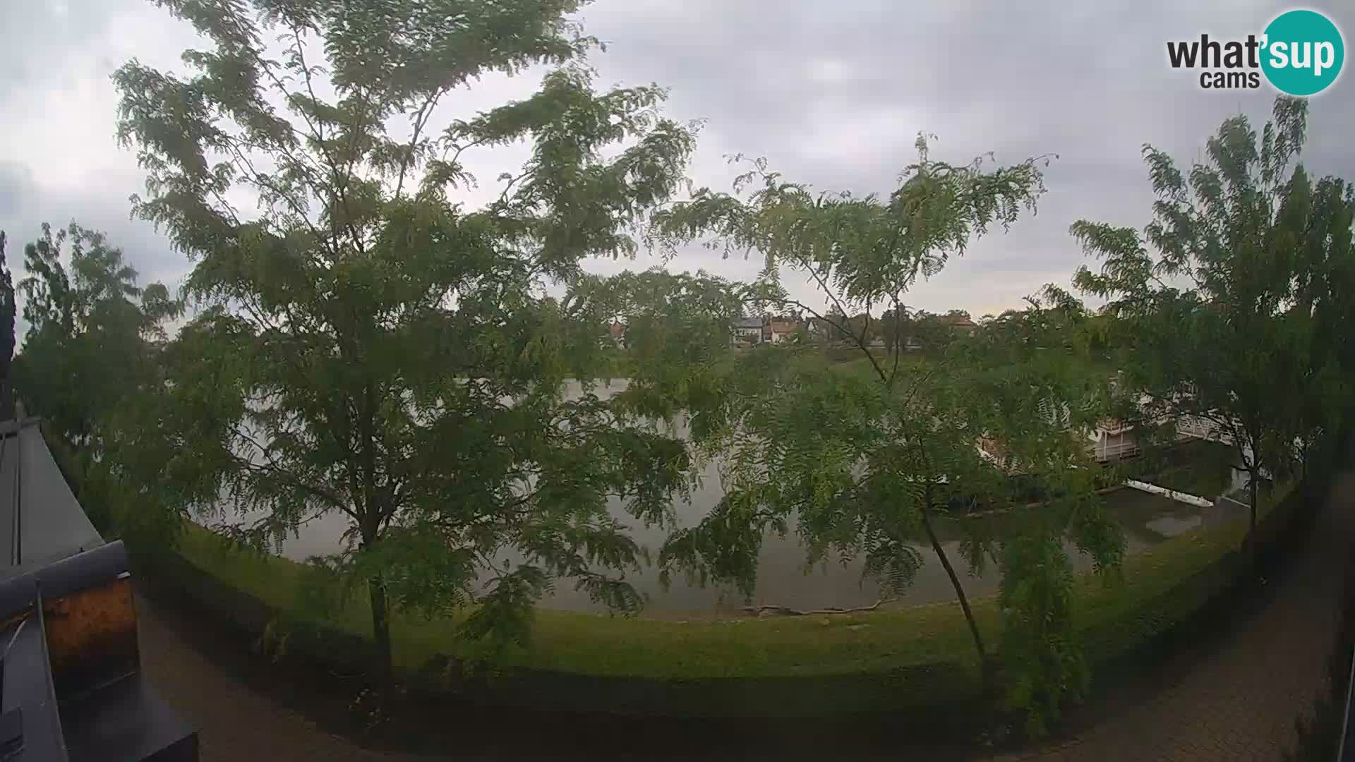 Sisak webcam en direct – vue sur la rivière Kolpa – Croatie