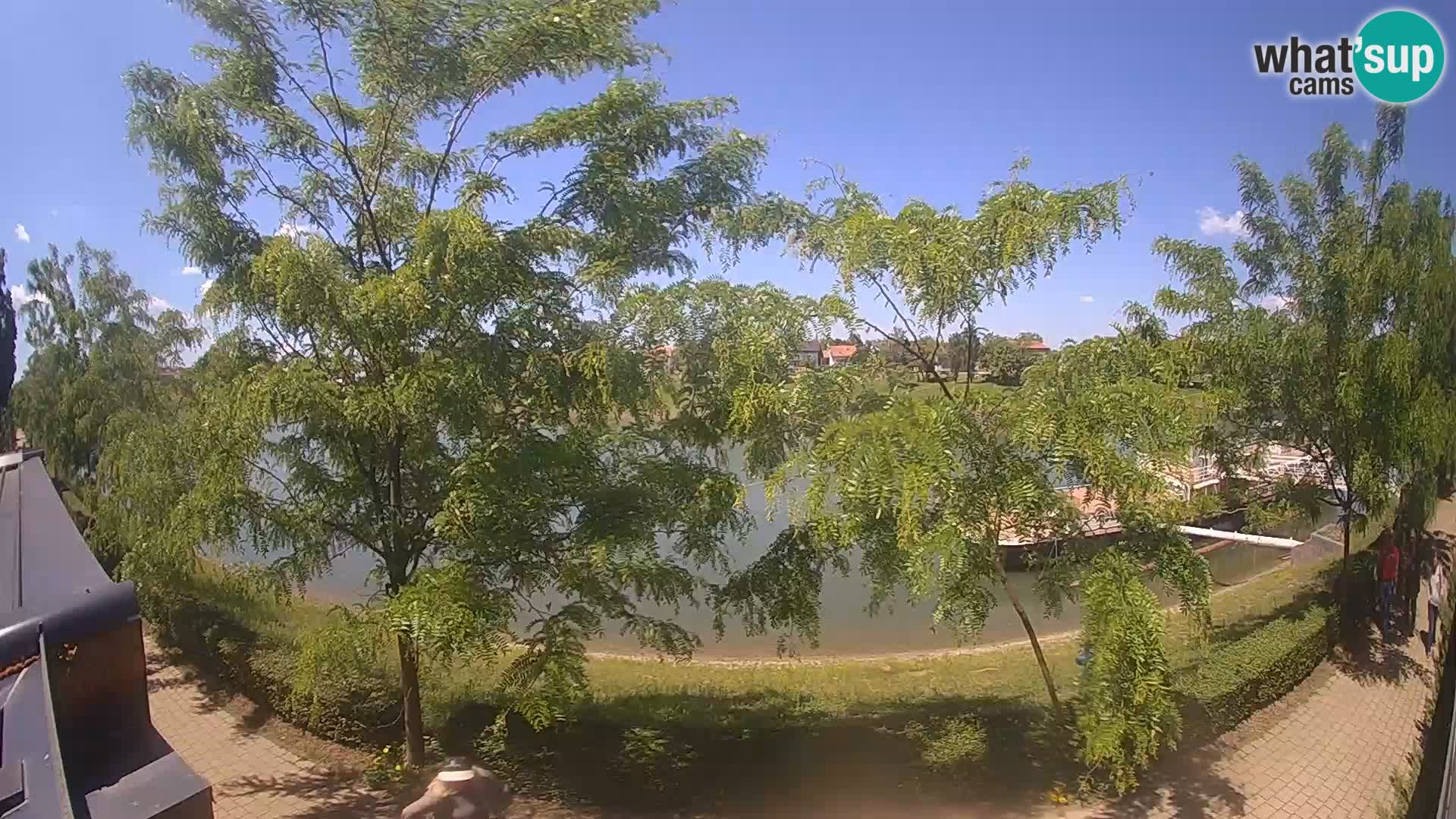 Sisak live webcam – vista sul fiume Kolpa – Croazia