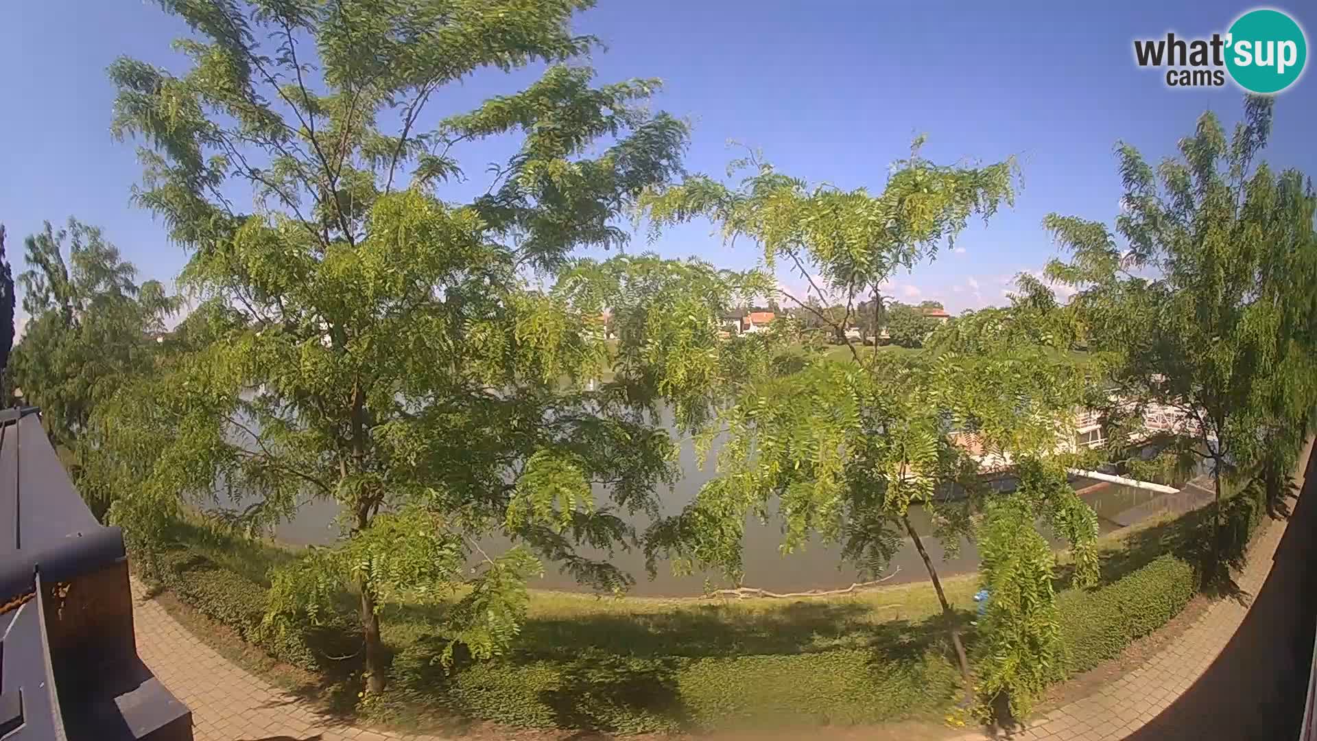 Sisak live webcam Kolpa river view – Croatia