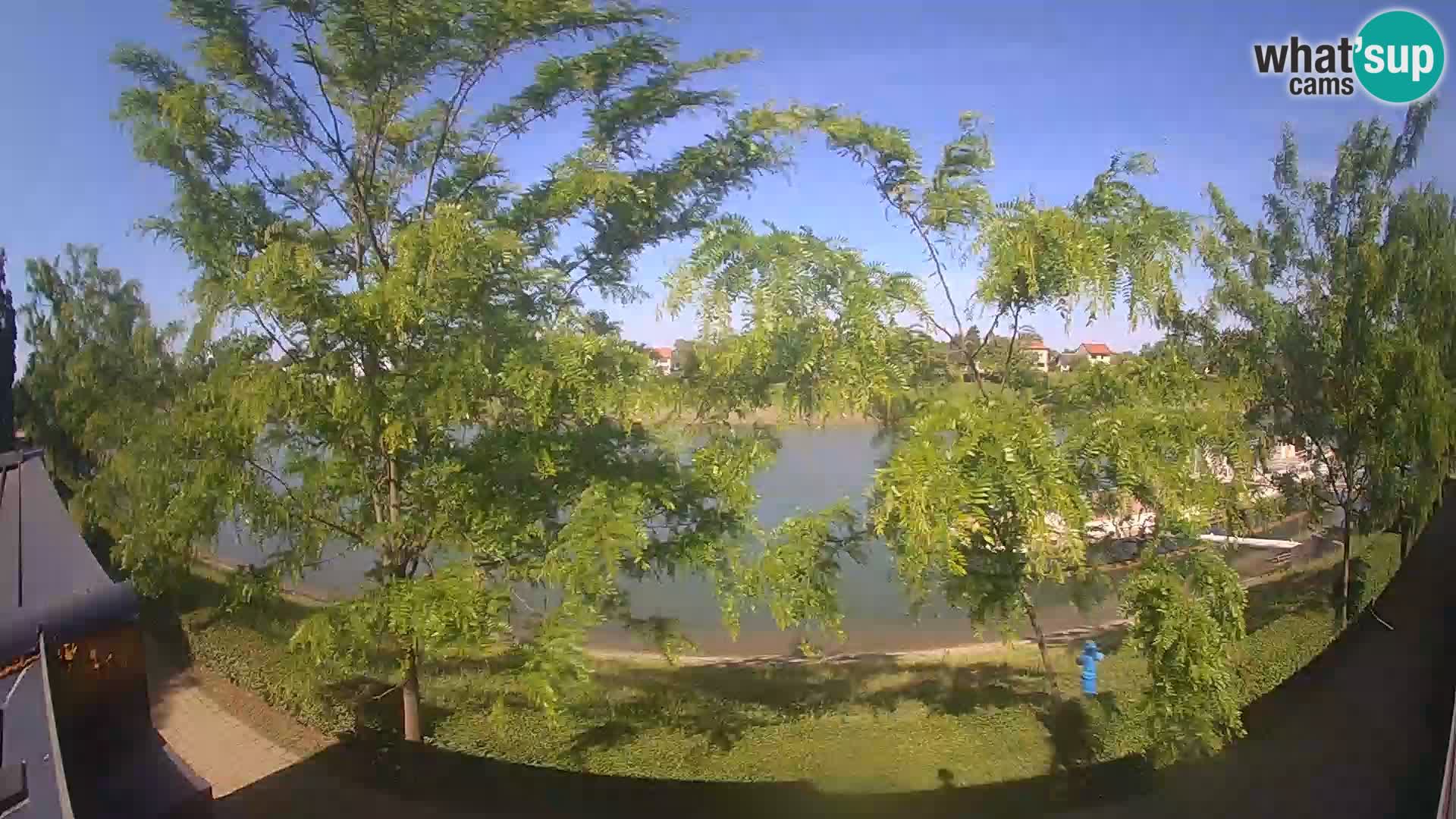 Sisak webcam en direct – vue sur la rivière Kolpa – Croatie