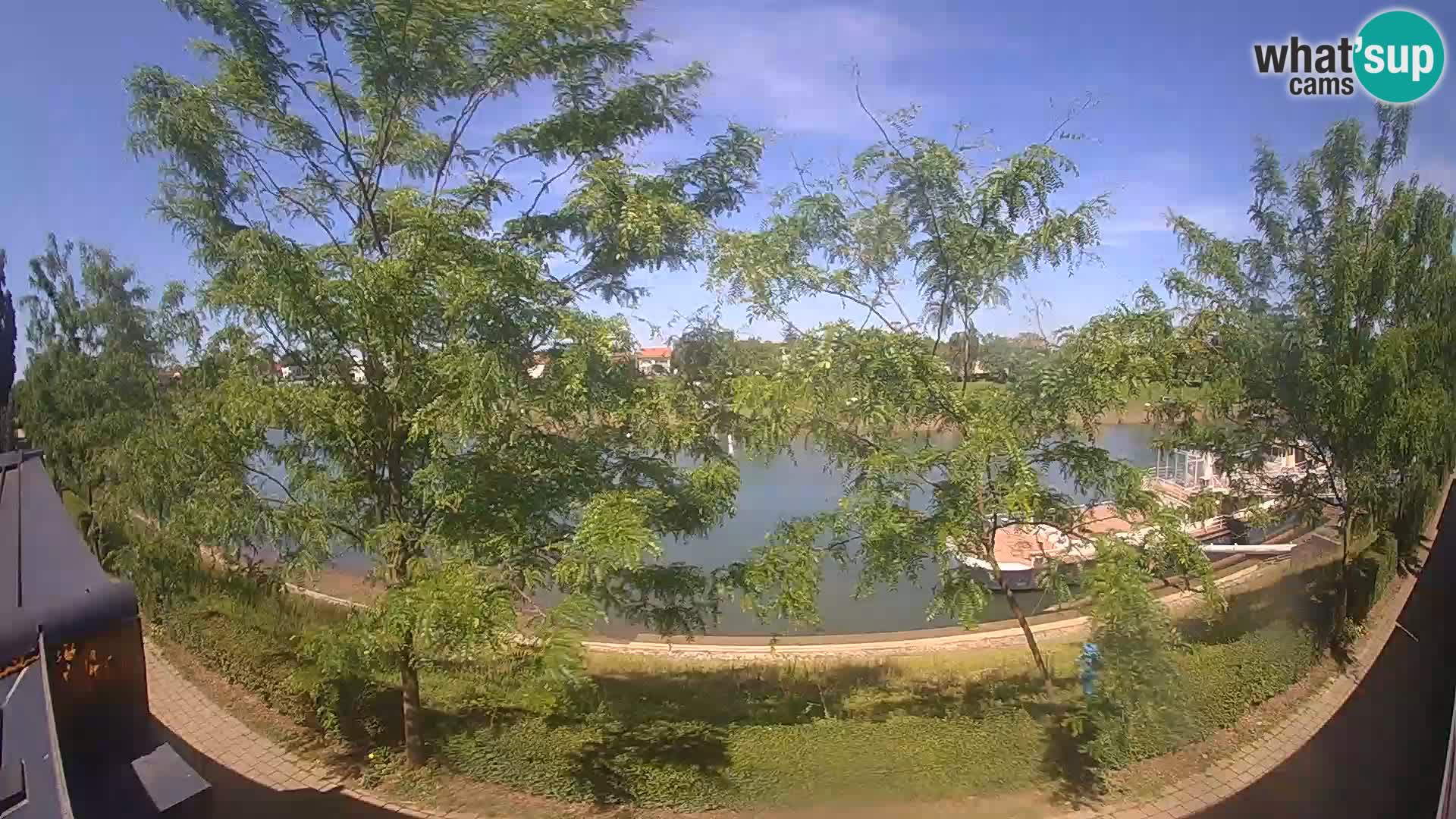 Sisak live webcam Kolpa river view – Croatia