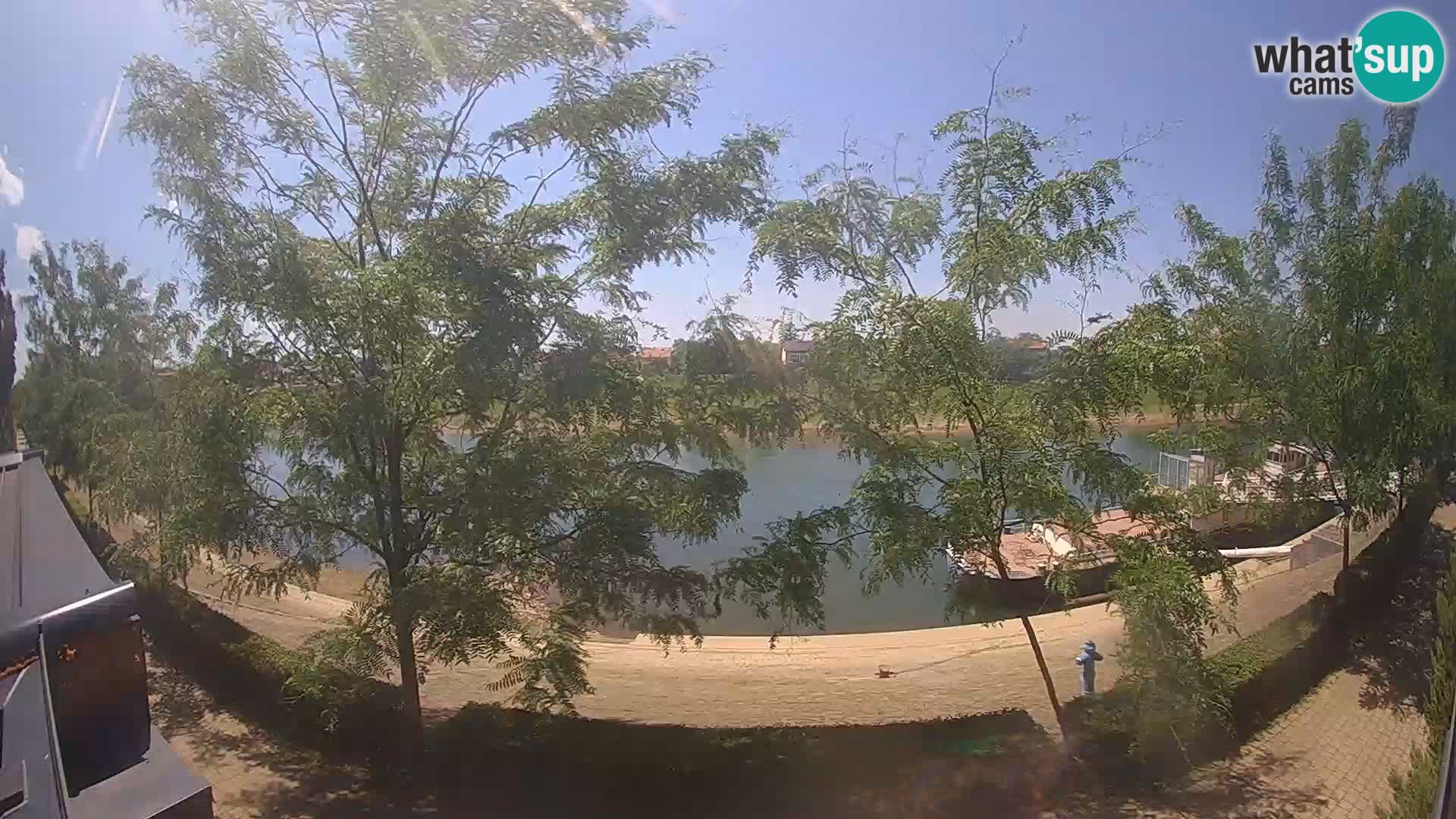Sisak webcam en direct – vue sur la rivière Kolpa – Croatie