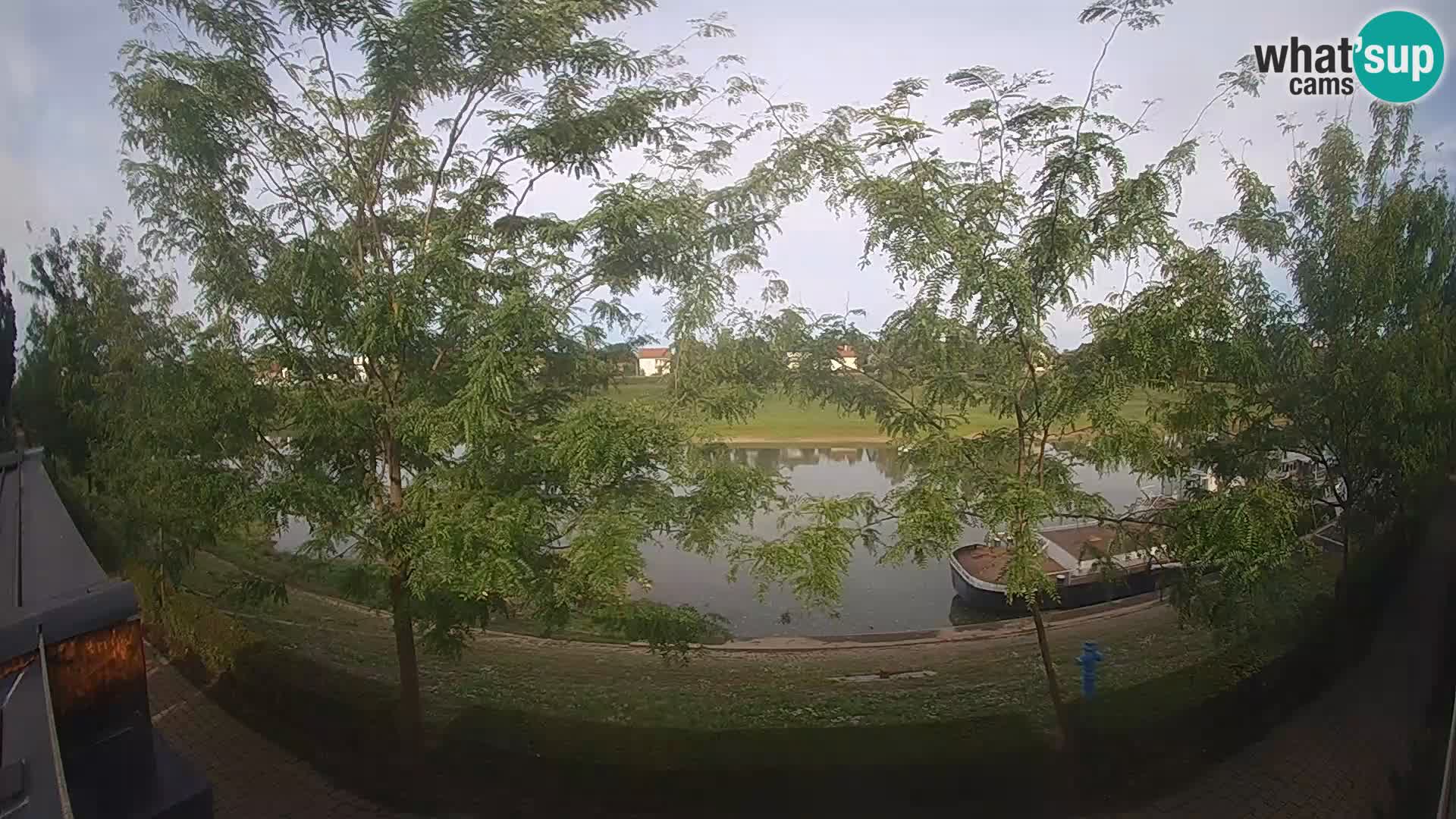 Sisak live webcam Kolpa river view – Croatia