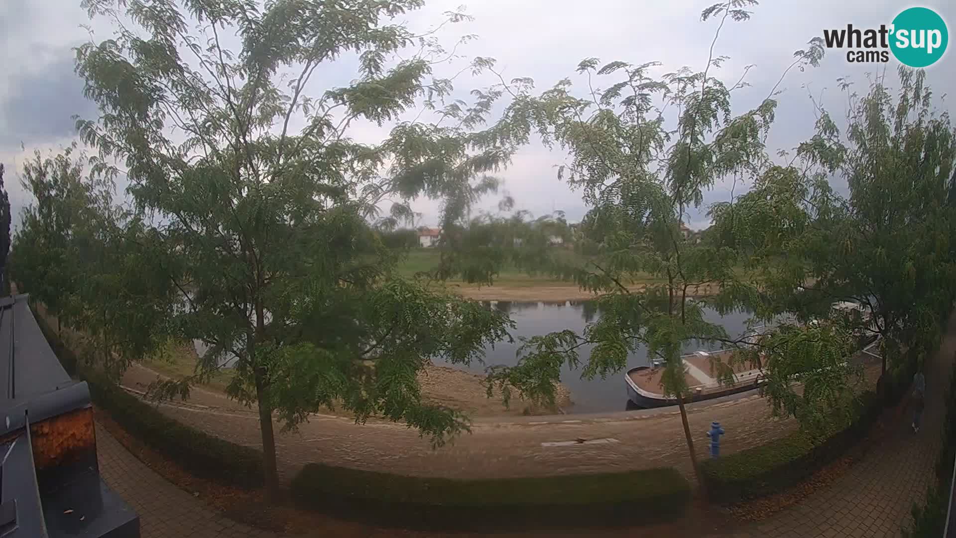 Sisak live webcam pogled na reku Kolpu