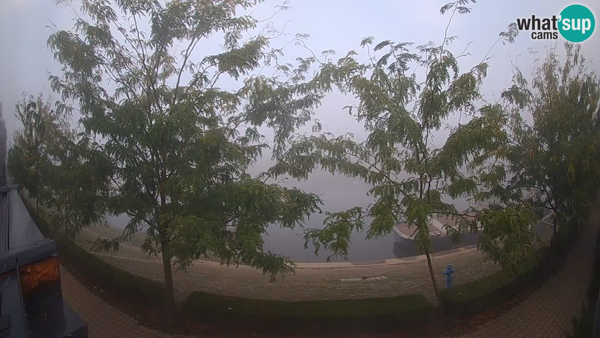 Sisak live webcam Kolpa river view – Croatia