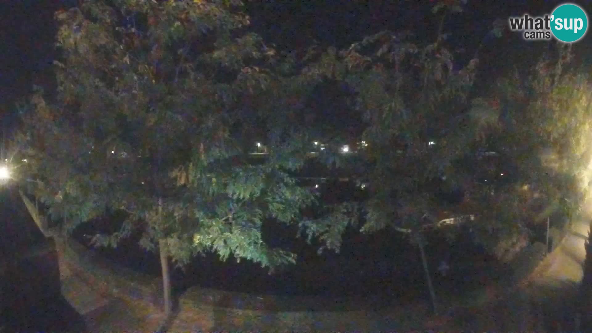 Sisak webcam en vivo Kolpa river view – Croacia