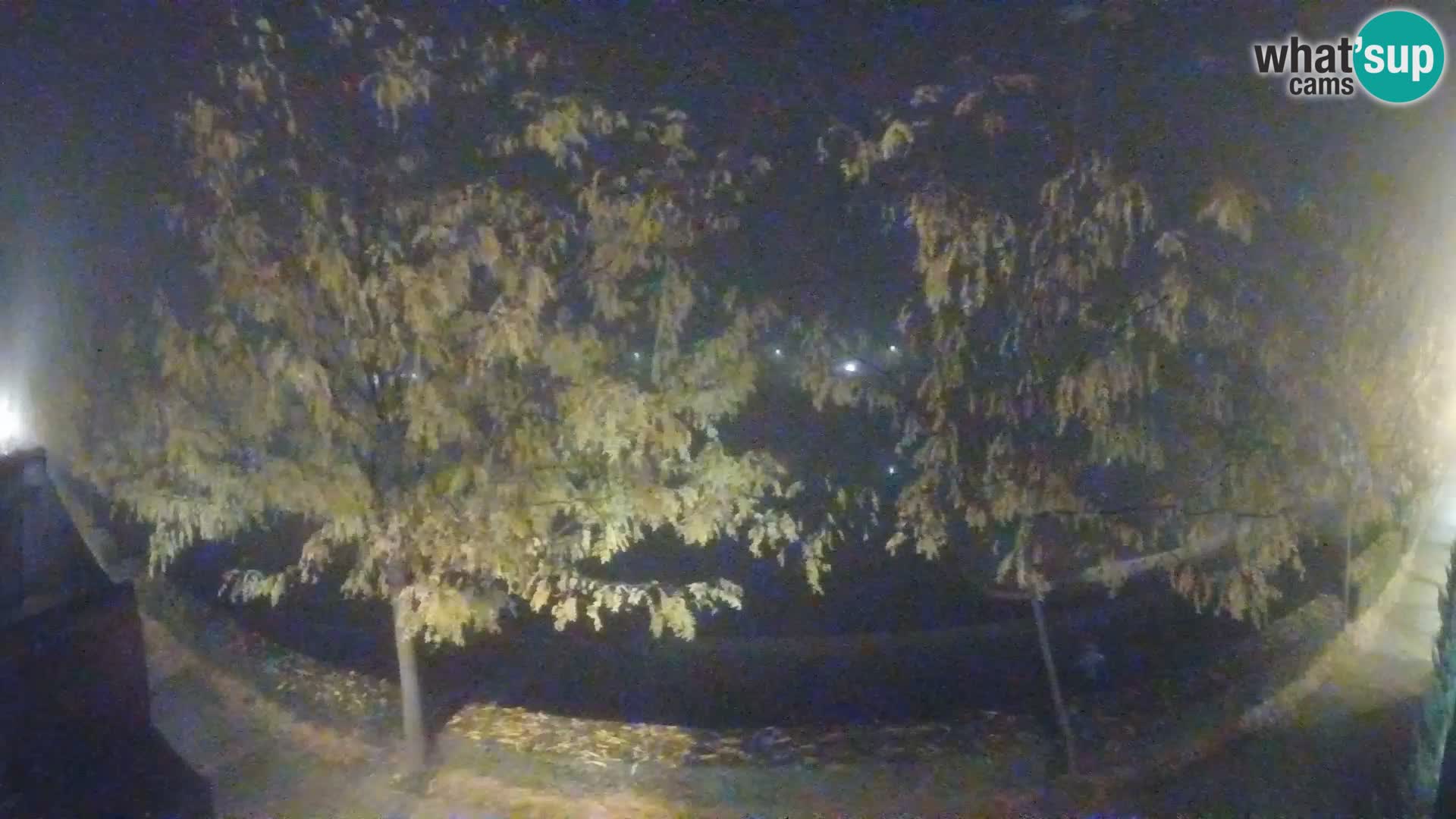 Sisak live webcam Kolpa river view – Croatia