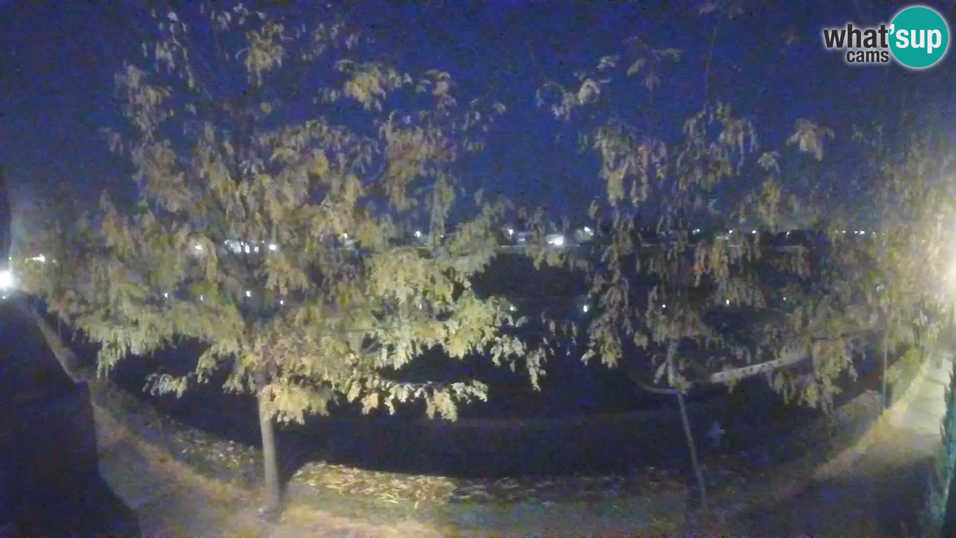 Sisak live webcam – vista sul fiume Kolpa – Croazia
