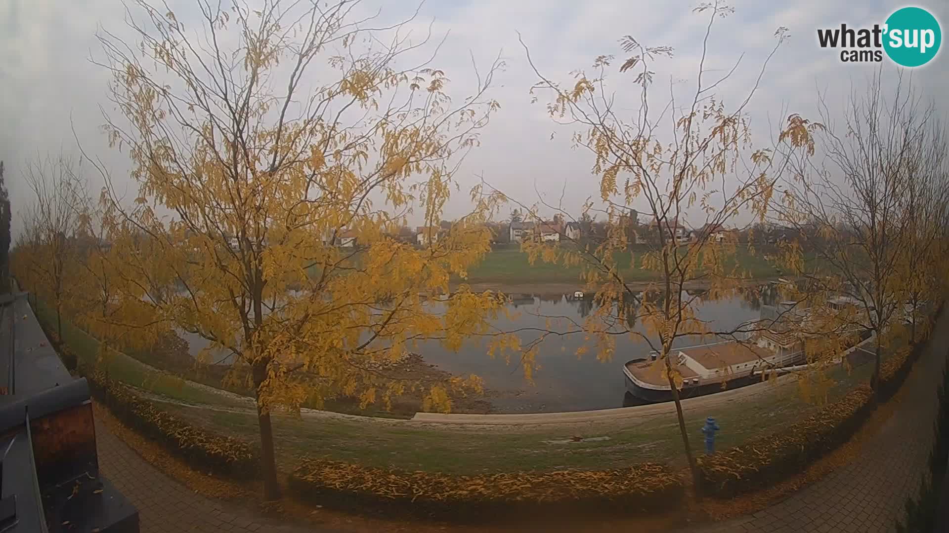 Sisak webcam en vivo Kolpa river view – Croacia