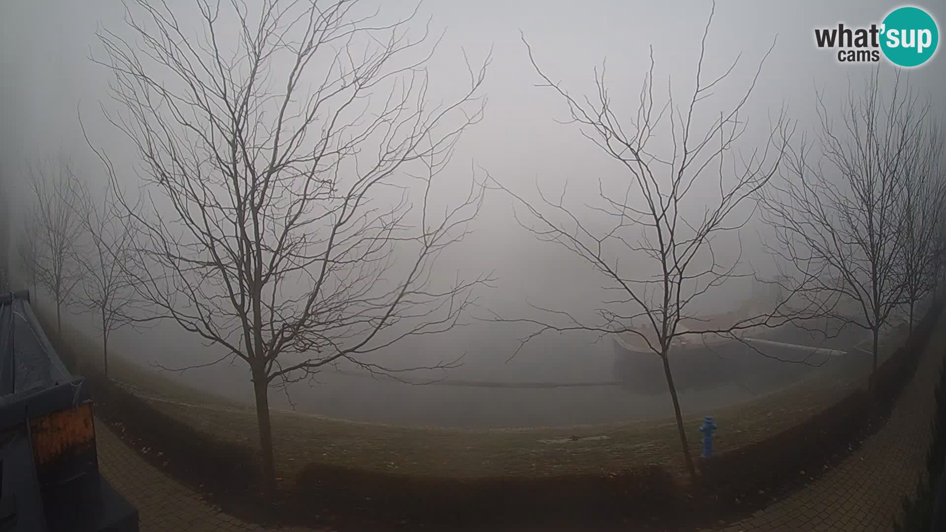 Sisak Live-Webcam Blick auf den Fluss Kolpa – Kroatien