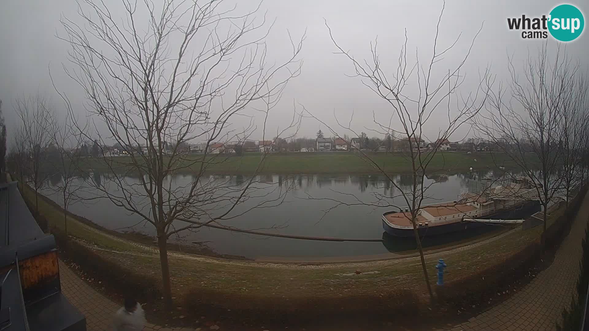 Sisak webcam en vivo Kolpa river view – Croacia