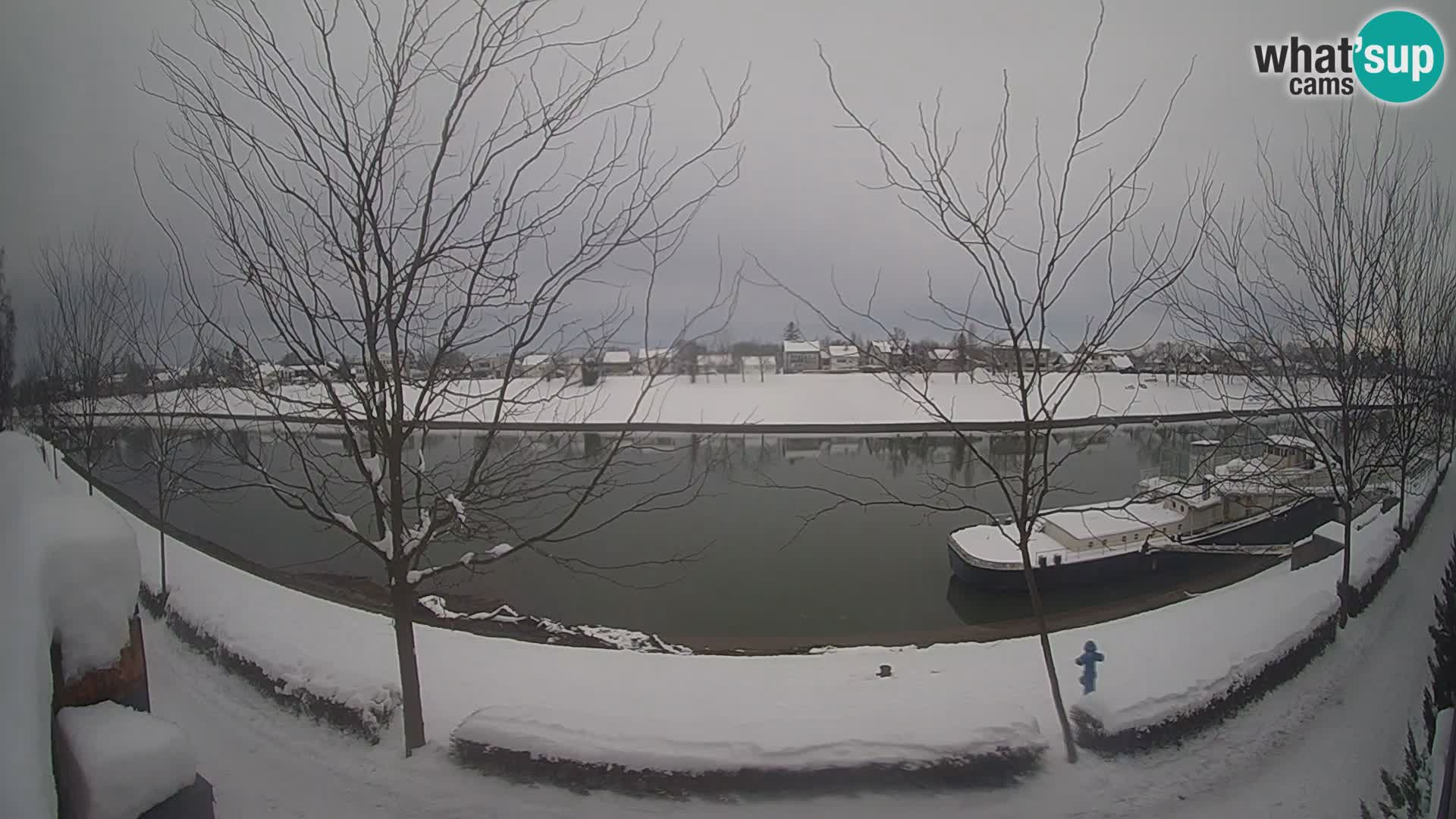 Sisak Live-Webcam Blick auf den Fluss Kolpa – Kroatien