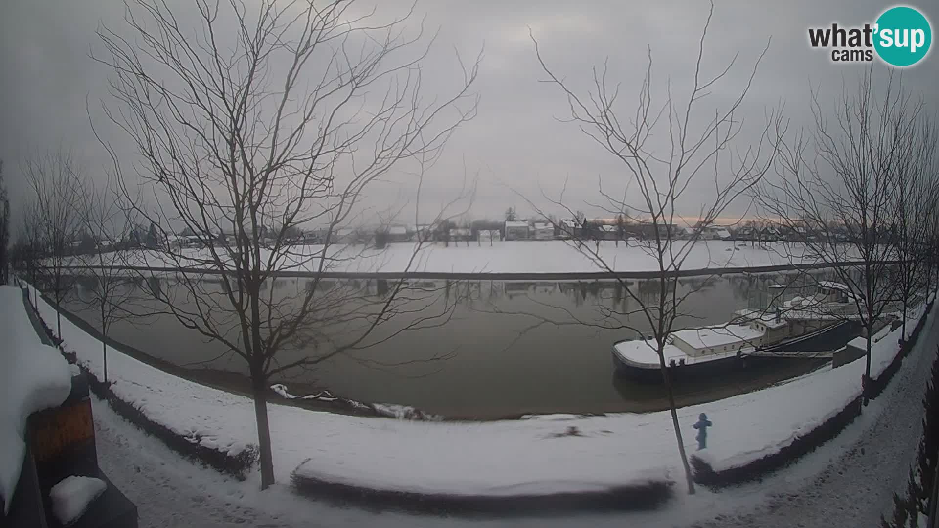 Sisak live webcam – vista sul fiume Kolpa – Croazia