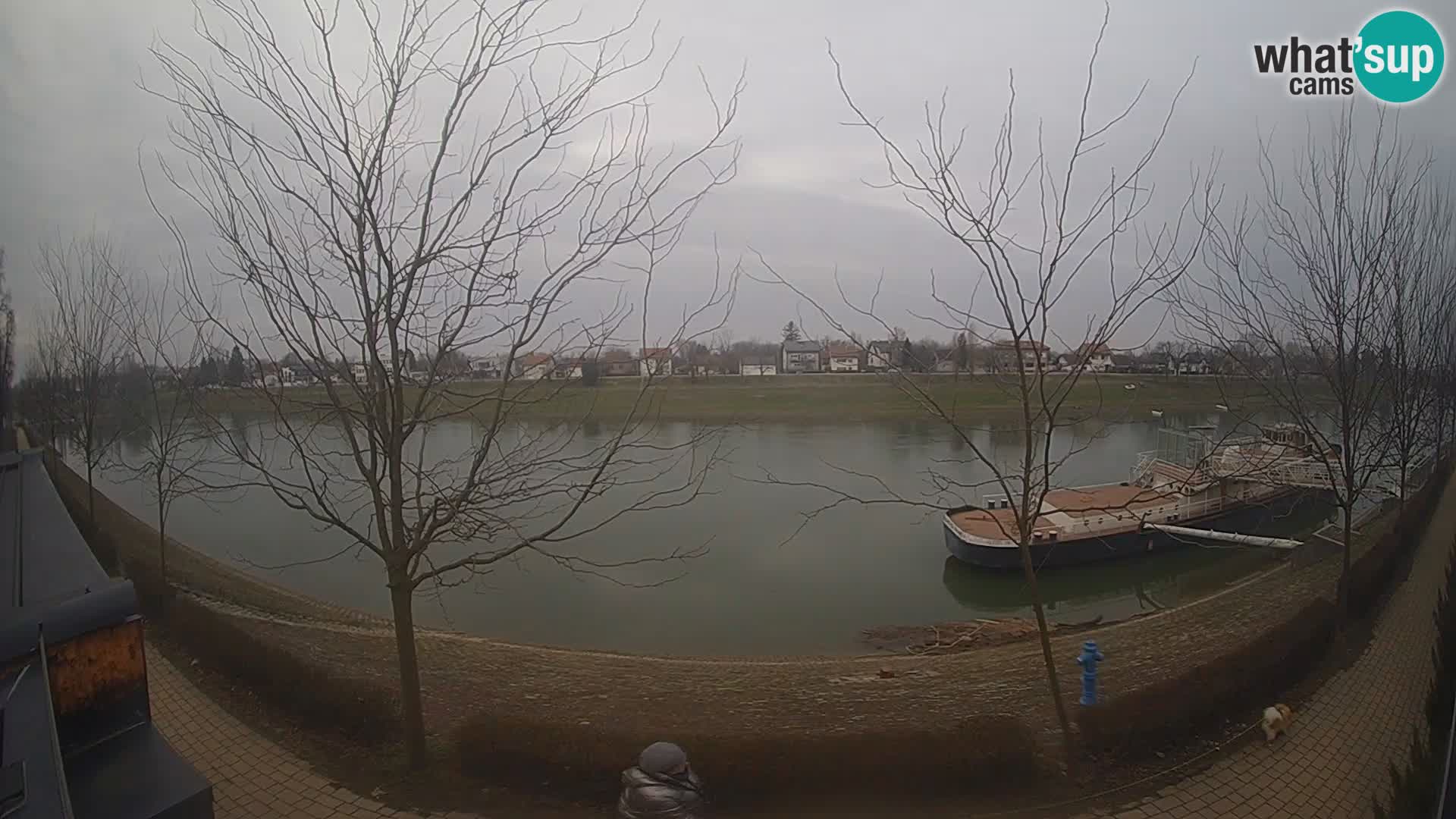 Sisak Live-Webcam Blick auf den Fluss Kolpa – Kroatien
