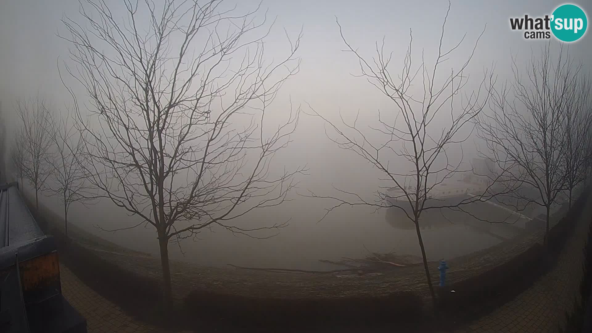 Sisak live webcam Kolpa river view – Croatia