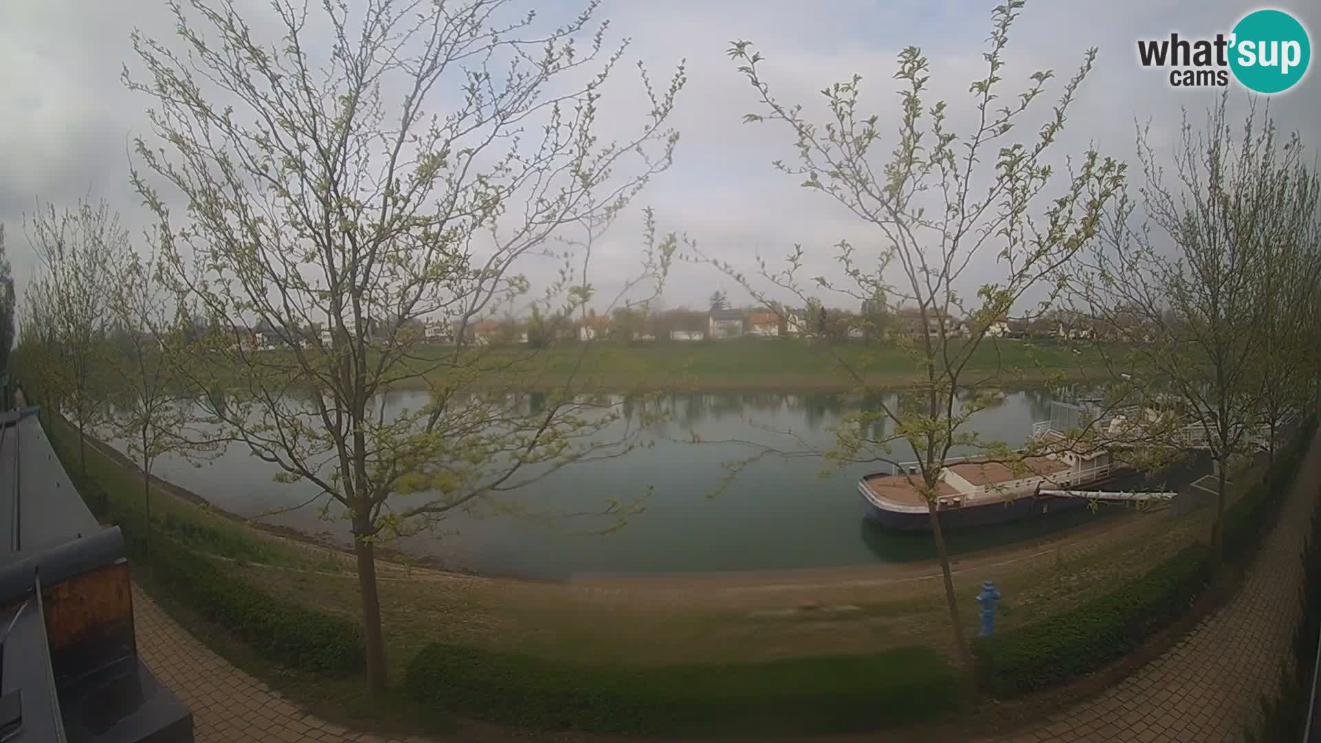 Sisak live webcam Kolpa river view – Croatia