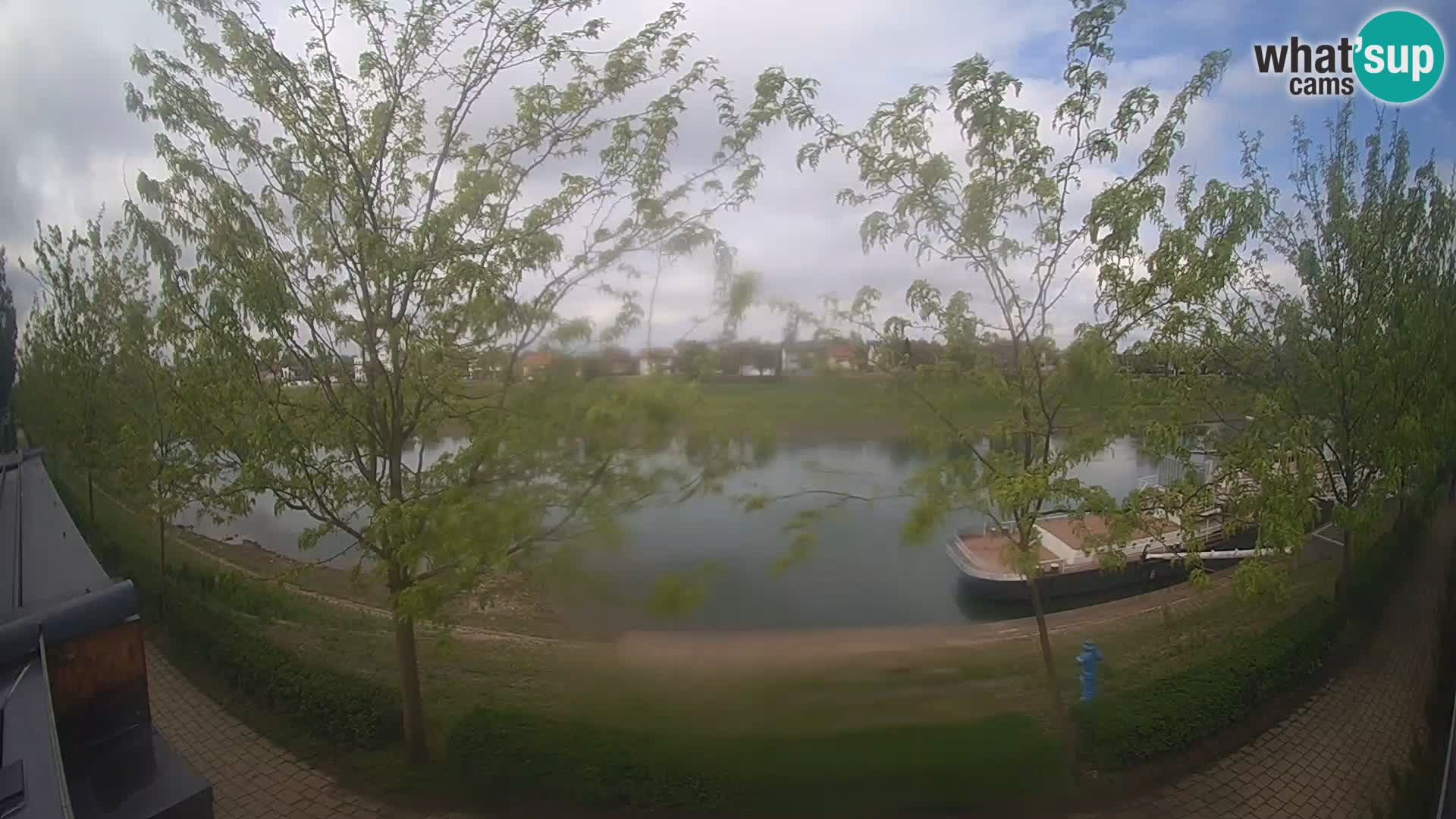 Sisak webcam en vivo Kolpa river view – Croacia