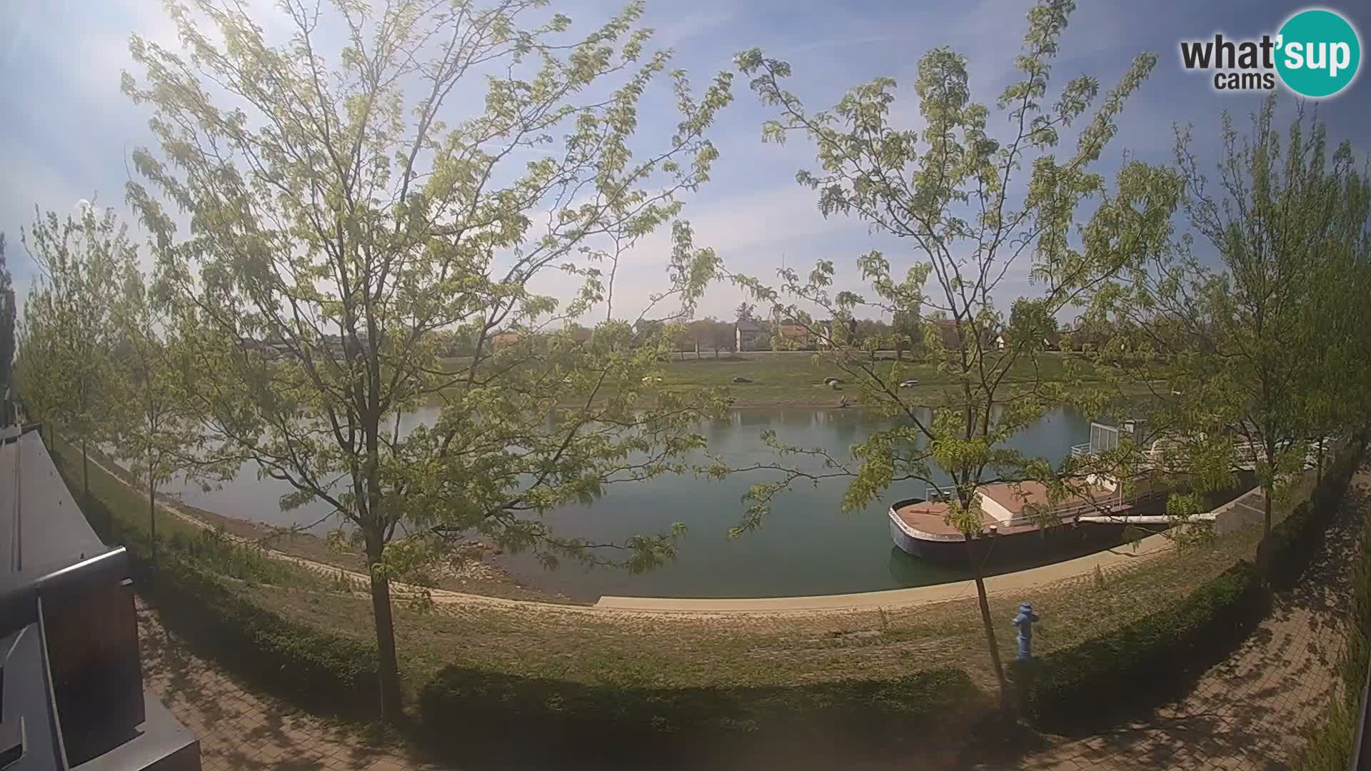 Sisak live webcam – vista sul fiume Kolpa – Croazia