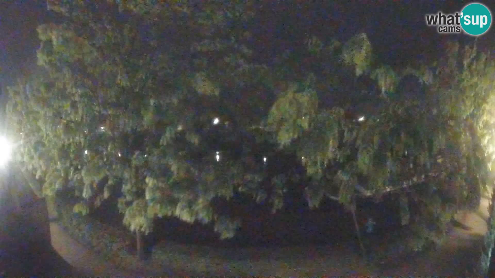 Sisak spletna kamera v živo Pogled na reko Kolpo – Hrvaška