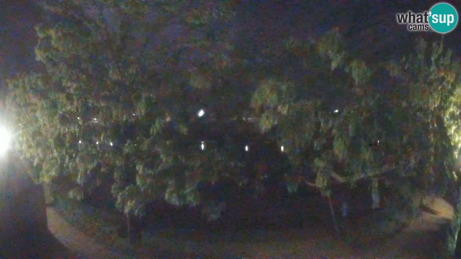 Sisak Live-Webcam Blick auf den Fluss Kolpa – Kroatien