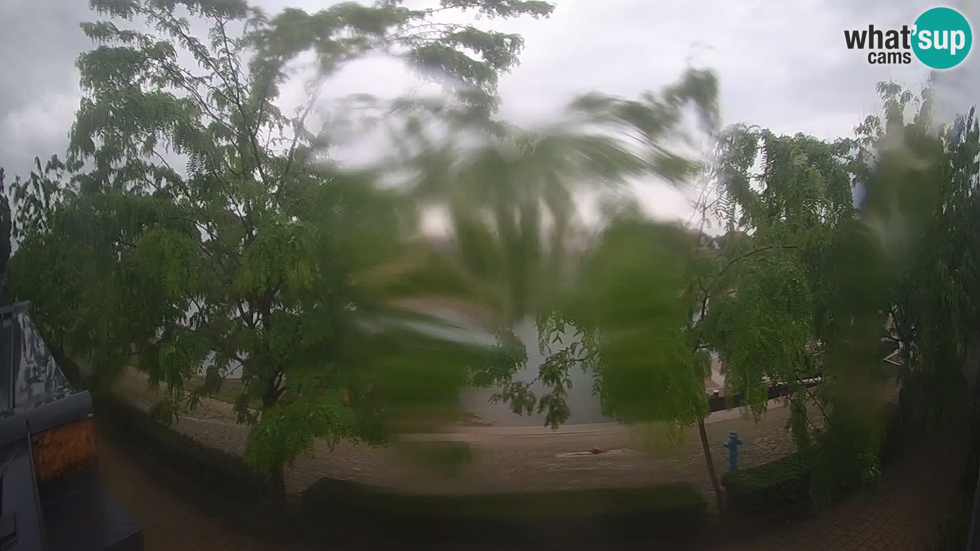 Sisak live webcam pogled na reku Kolpu