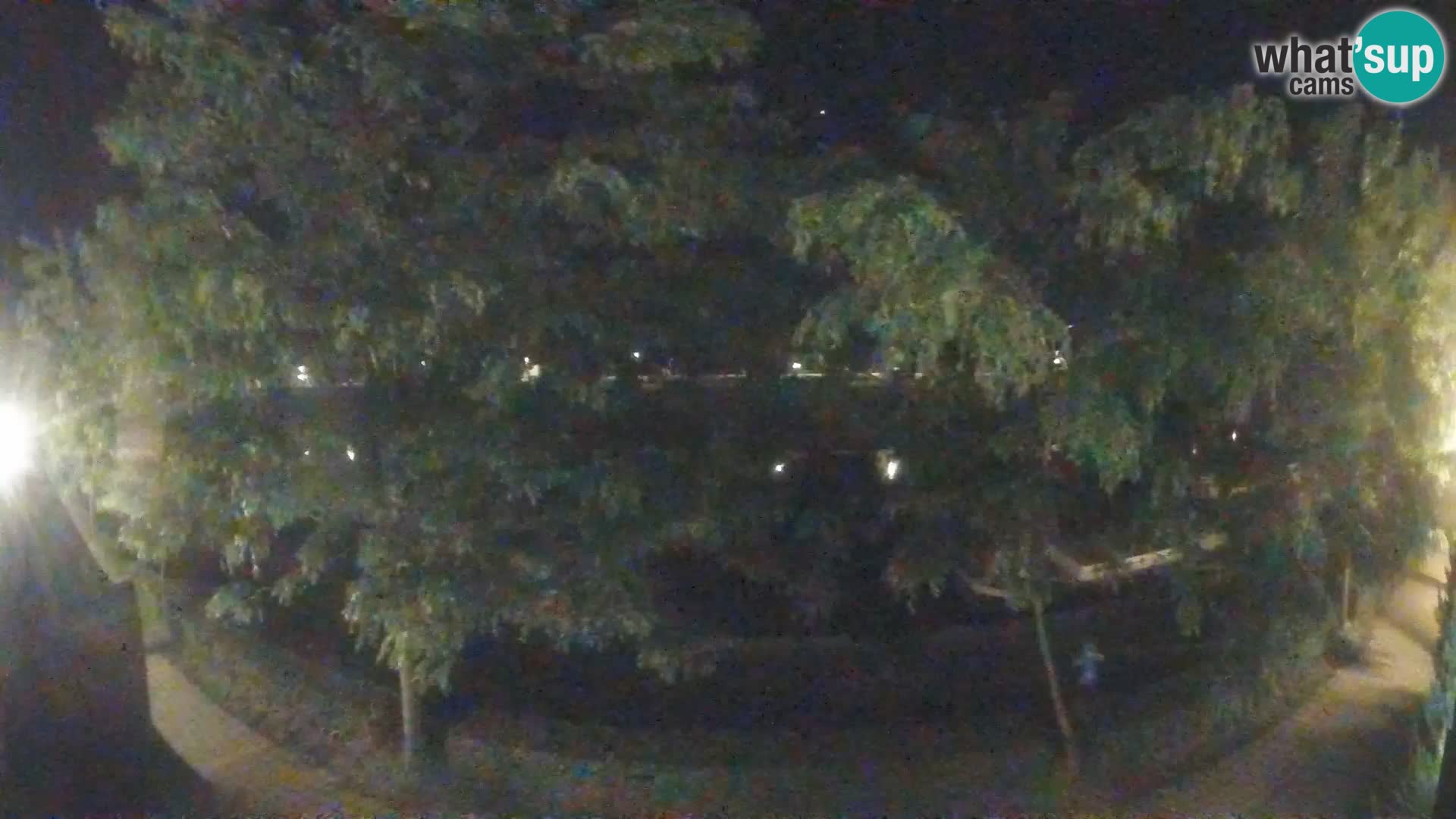 Sisak Live-Webcam Blick auf den Fluss Kolpa – Kroatien