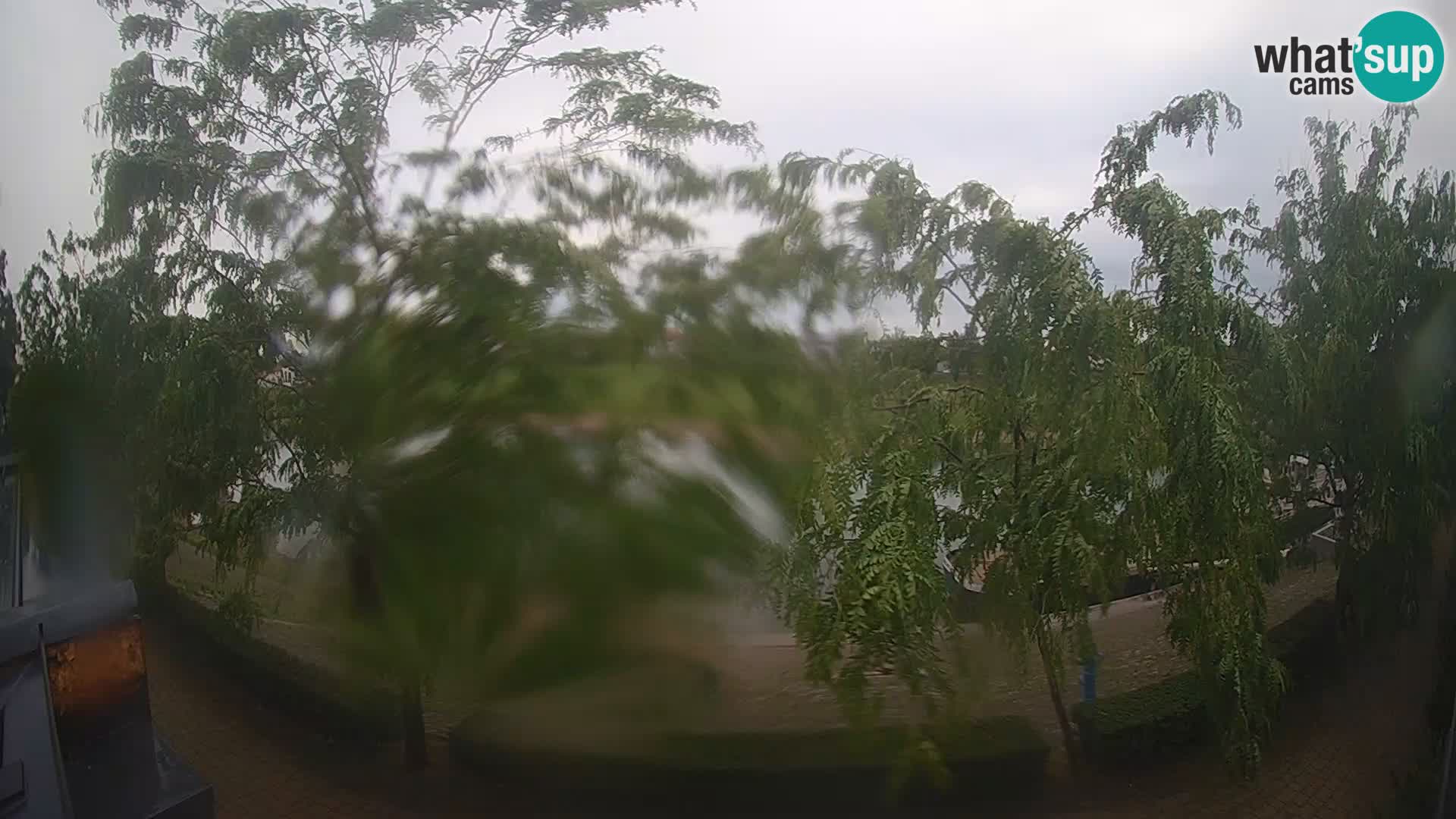 Sisak webcam en direct – vue sur la rivière Kolpa – Croatie