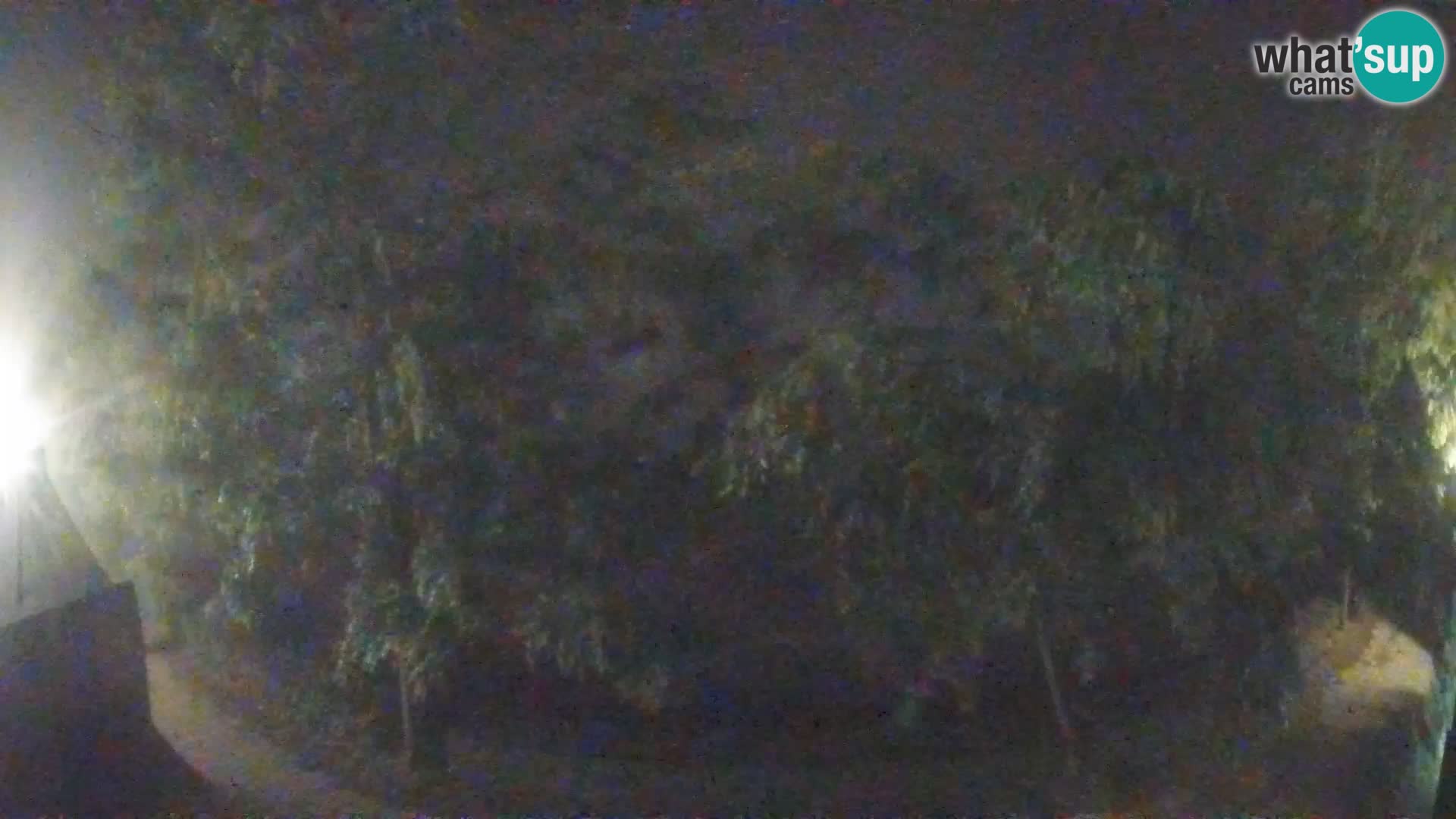 Sisak Live-Webcam Blick auf den Fluss Kolpa – Kroatien