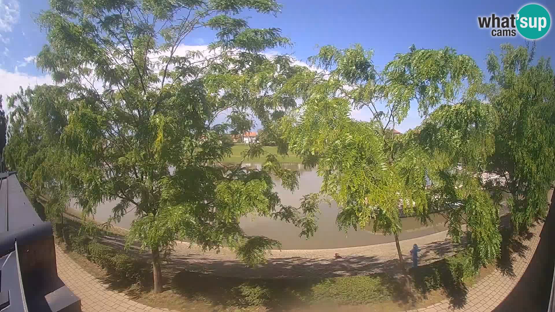 Sisak live webcam pogled na reku Kolpu